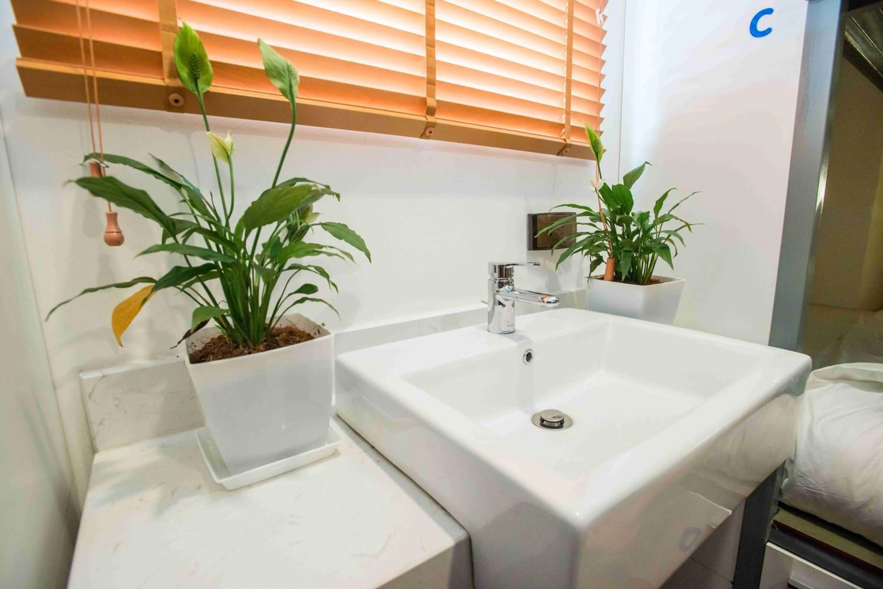 Decorative detail in Nexy Hostel