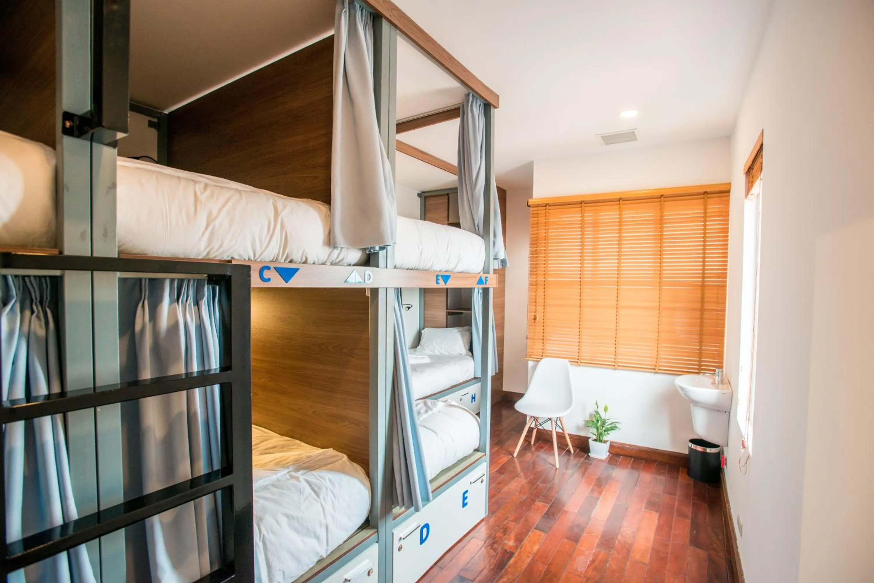 Photo of the whole room, Bed in Nexy Hostel