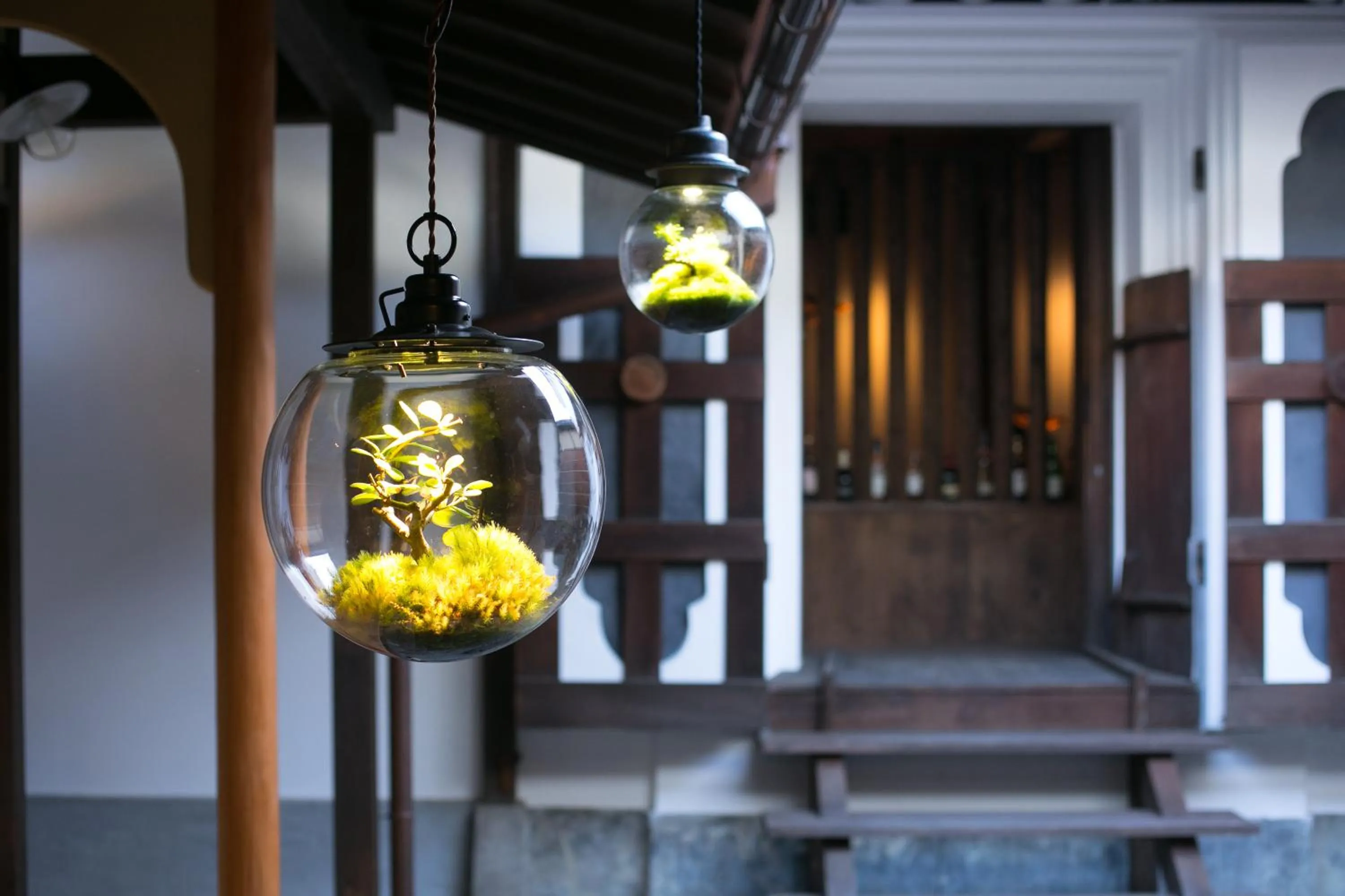 Garden in Ryokan Mugen (Adult Only)