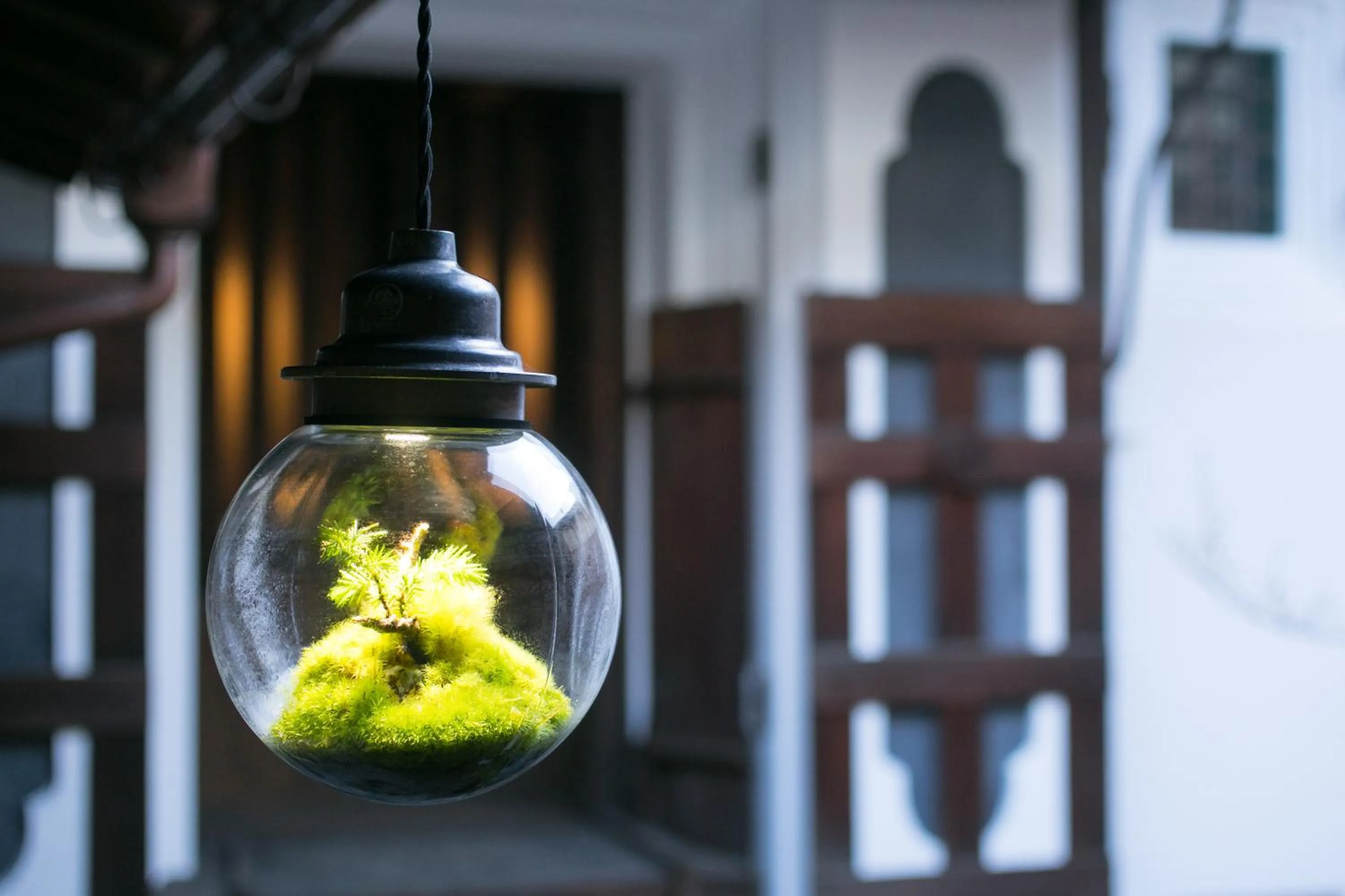 Garden in Ryokan Mugen (Adult Only)