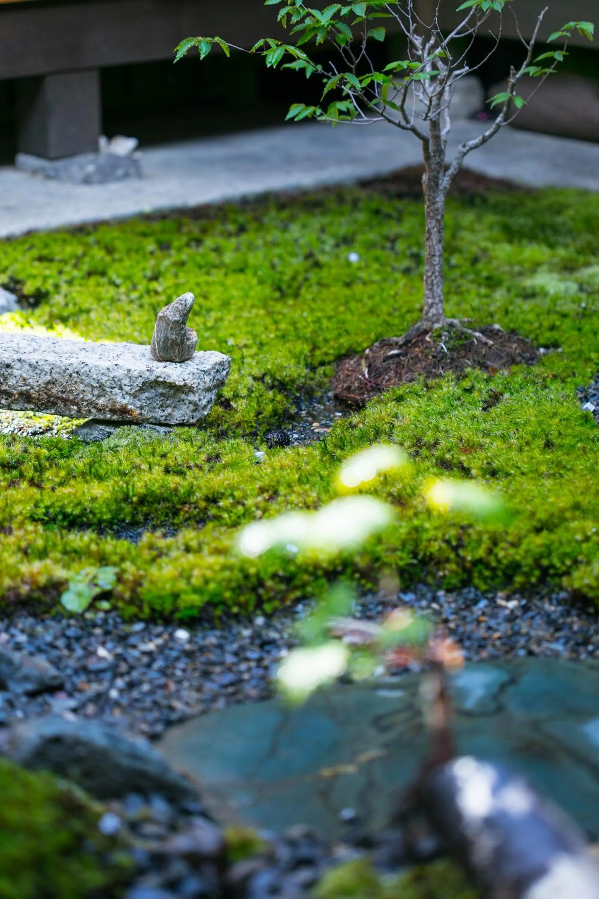 Garden in Ryokan Mugen (Adult Only)
