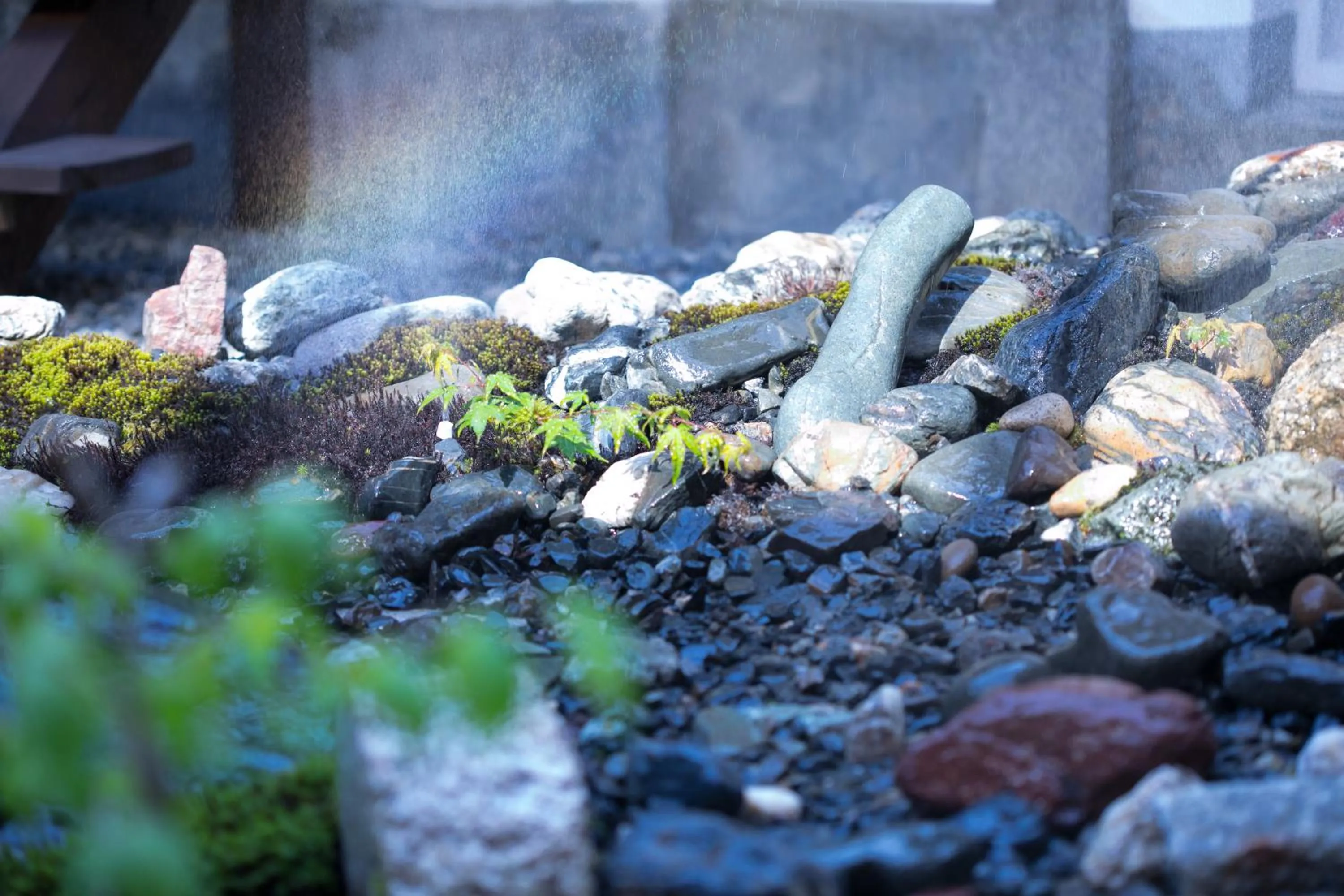 Garden in Ryokan Mugen (Adult Only)