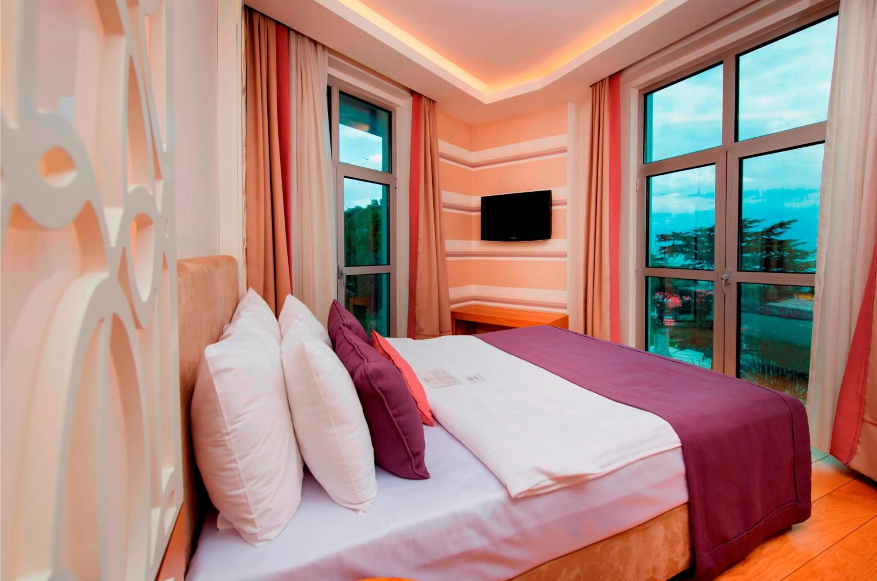 TV and multimedia in Wes Hotel