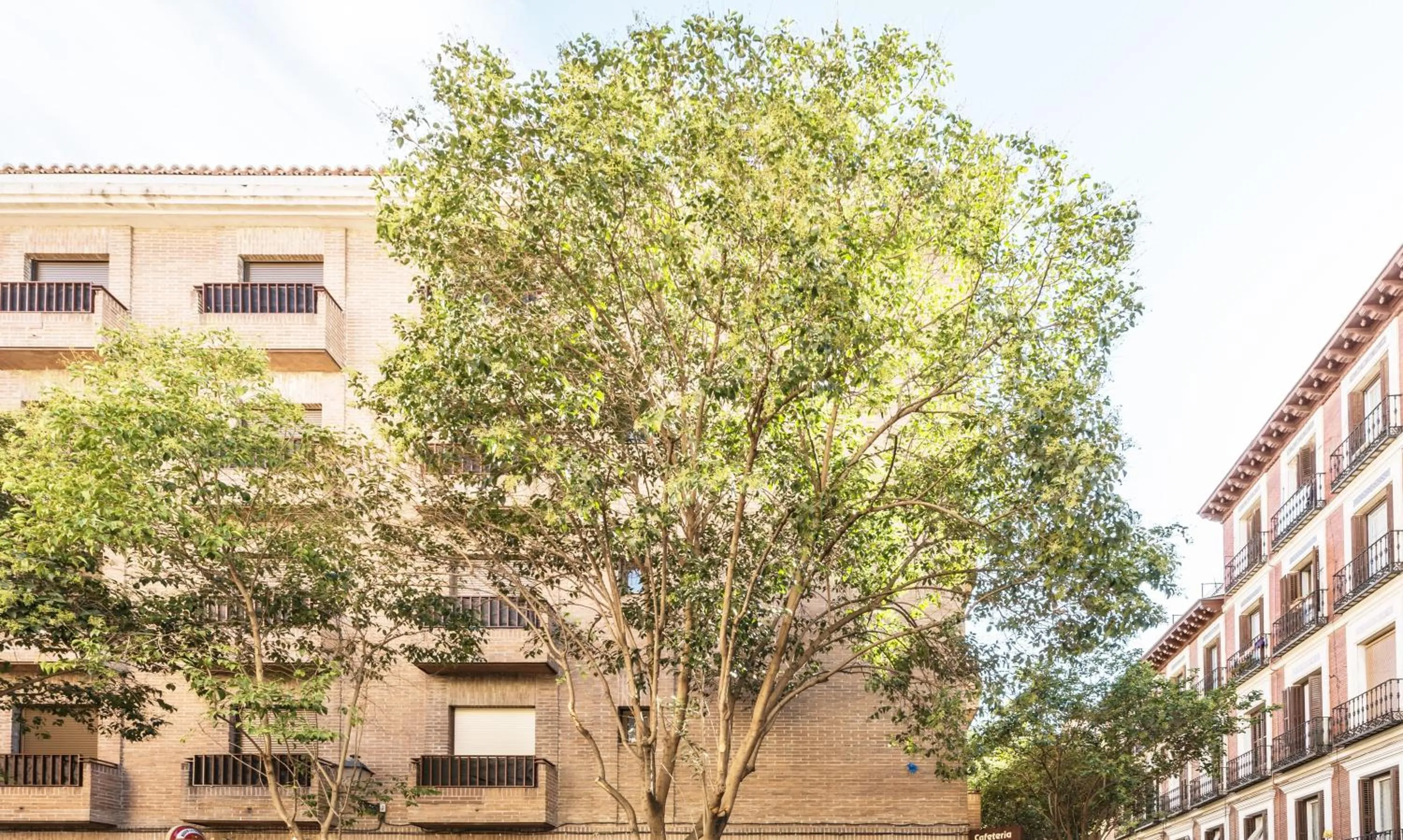 Property building in L&H La Latina Selection