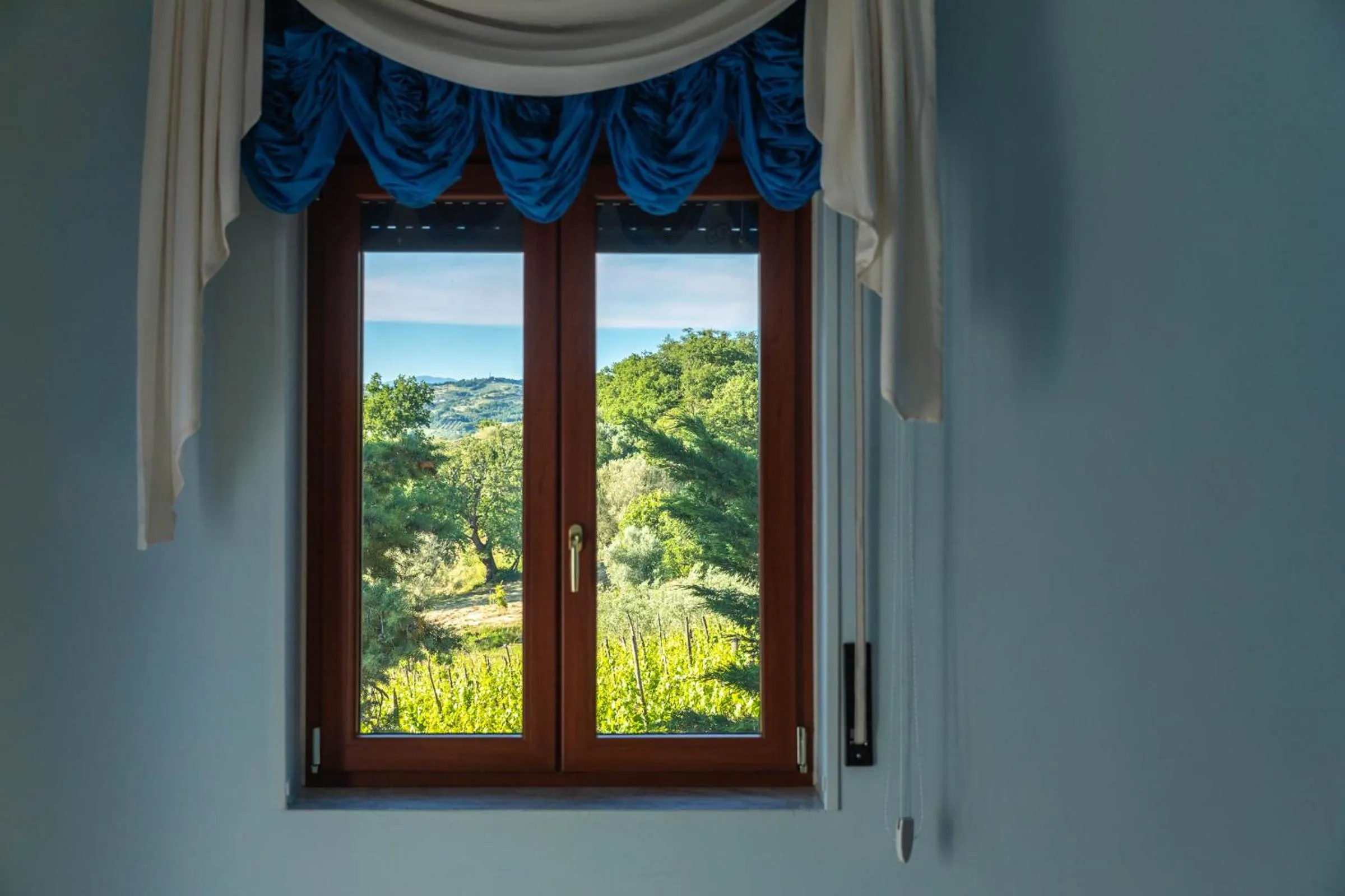 Garden view in B&B La Mortella