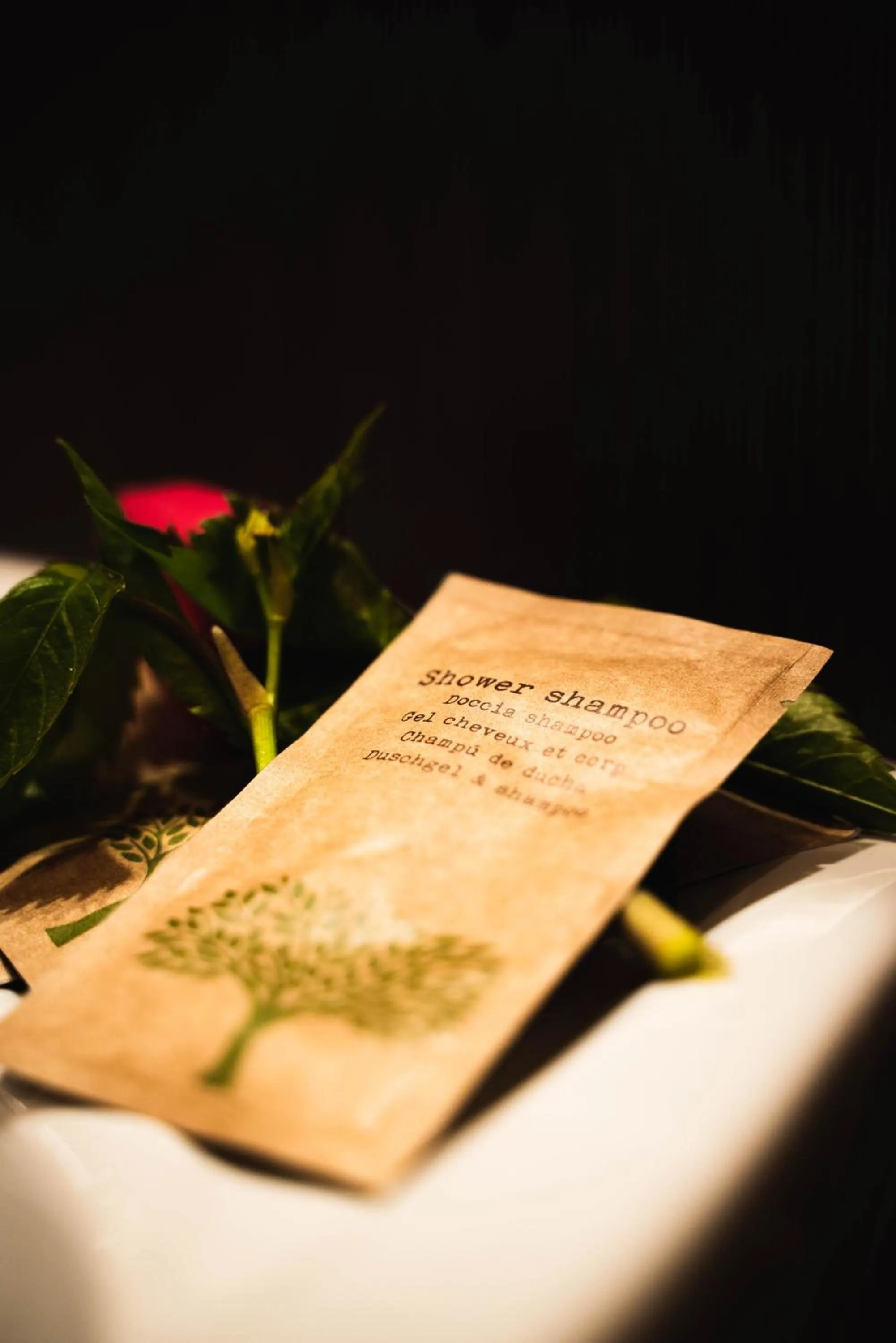 Bathroom in Willa 654