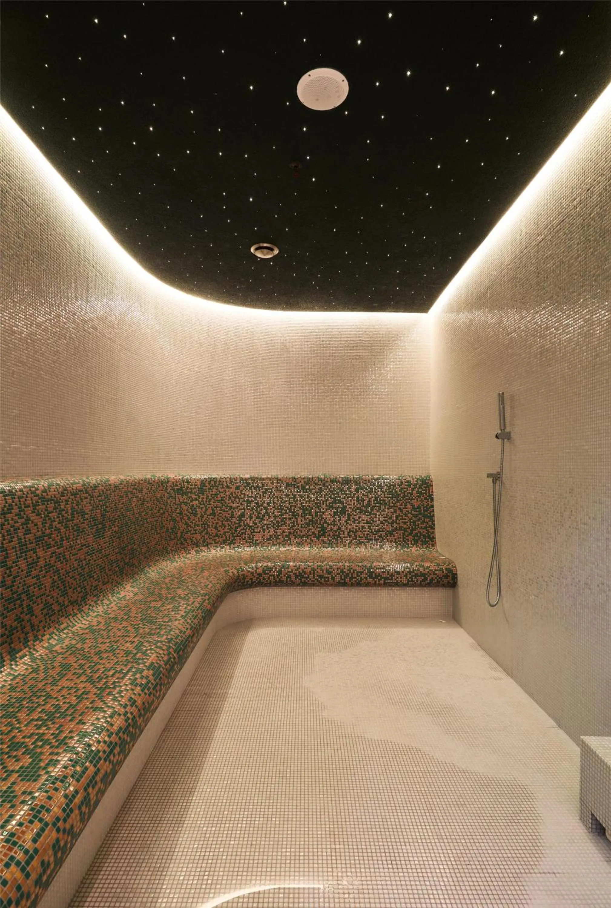 Sports in Hotel Saski Krakow Curio Collection by Hilton