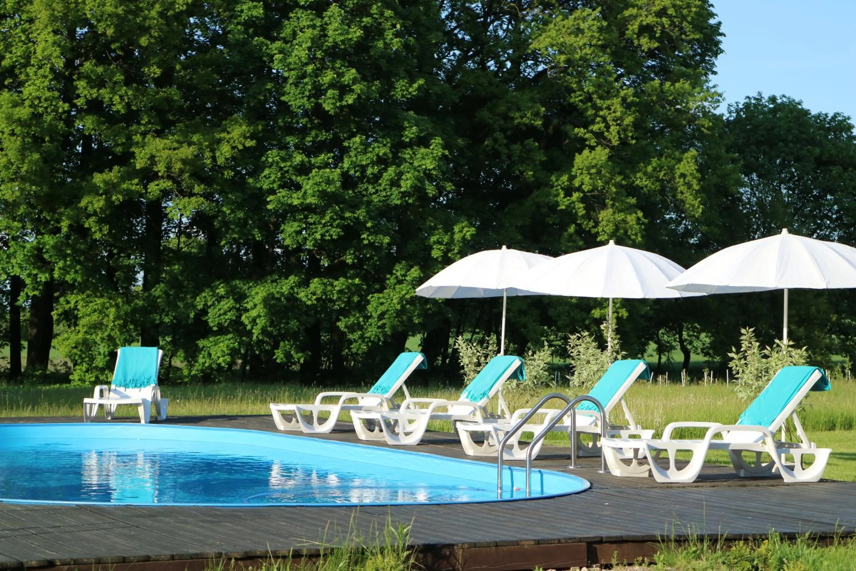 Swimming pool in Dwór Kaliszki