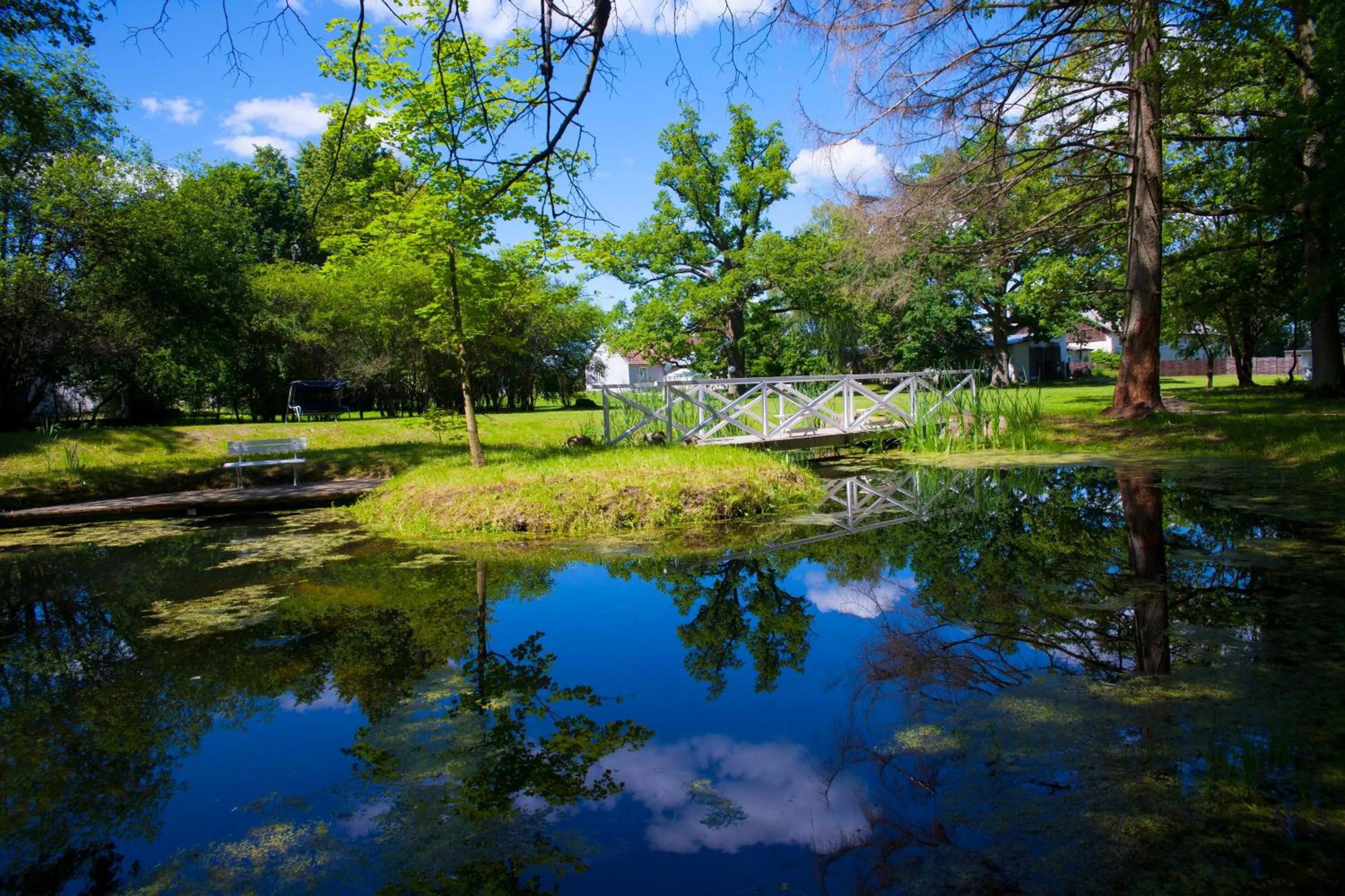 Neighbourhood in Dwór Kaliszki