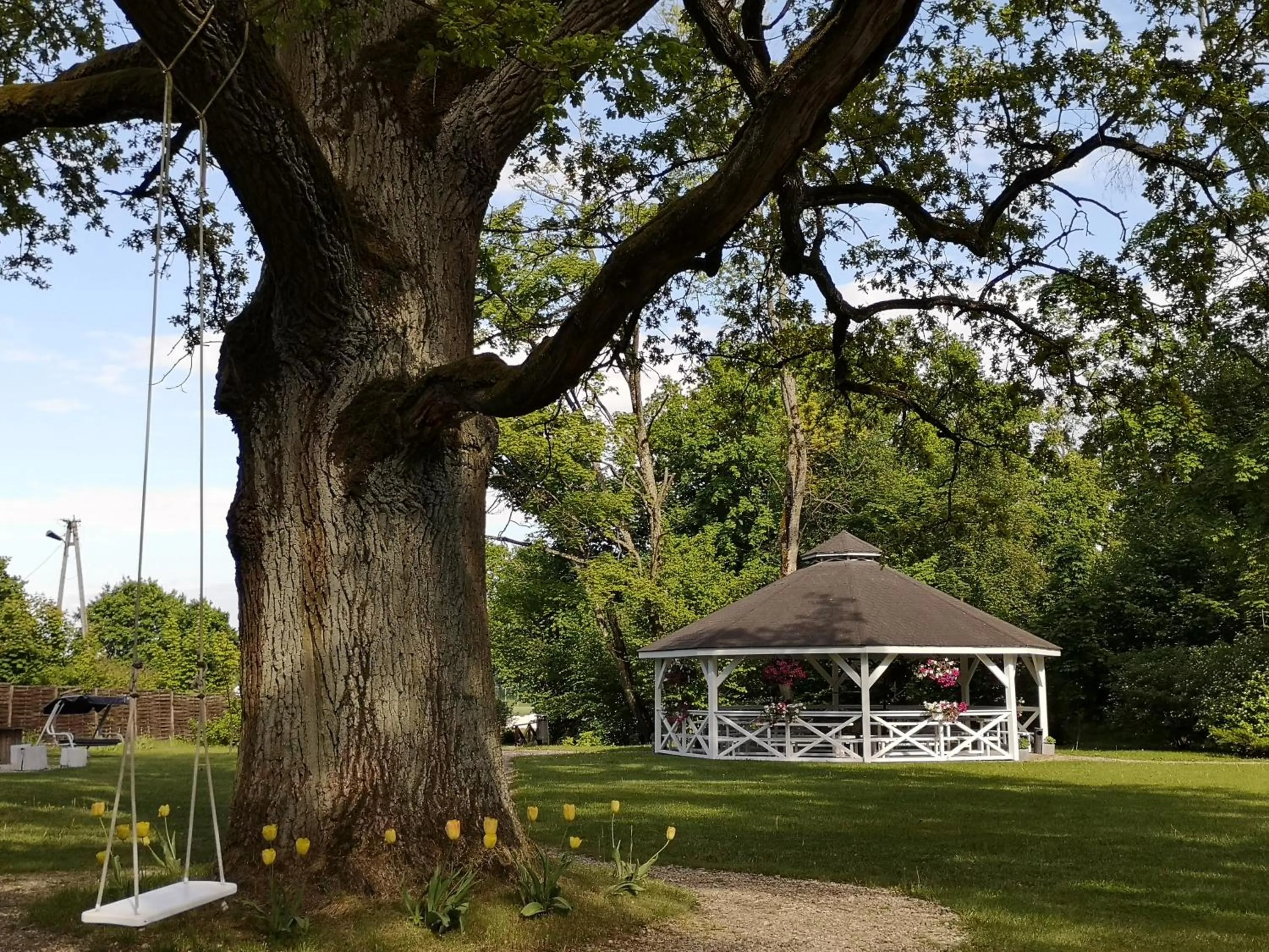 Garden in Dwór Kaliszki