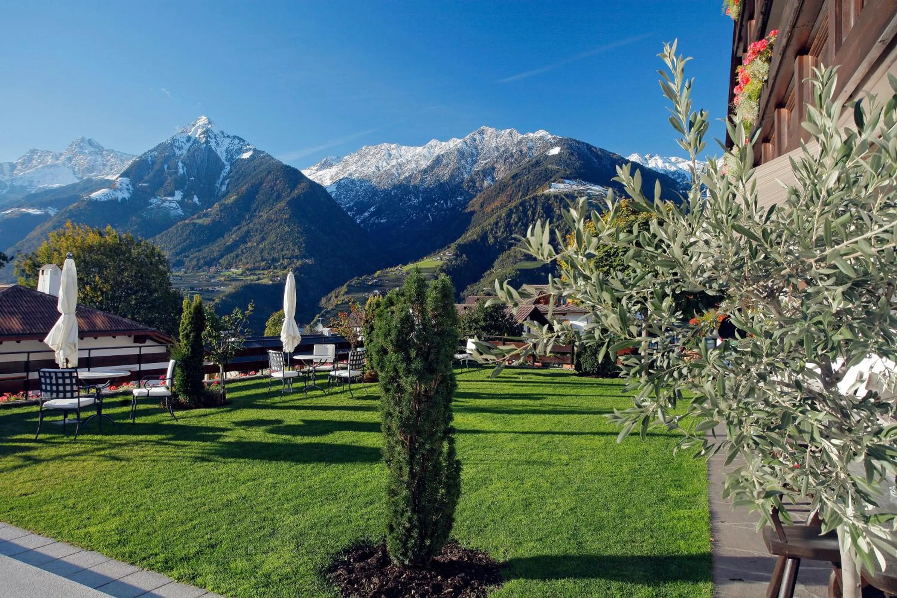 Balcony/Terrace in Hotel Walder