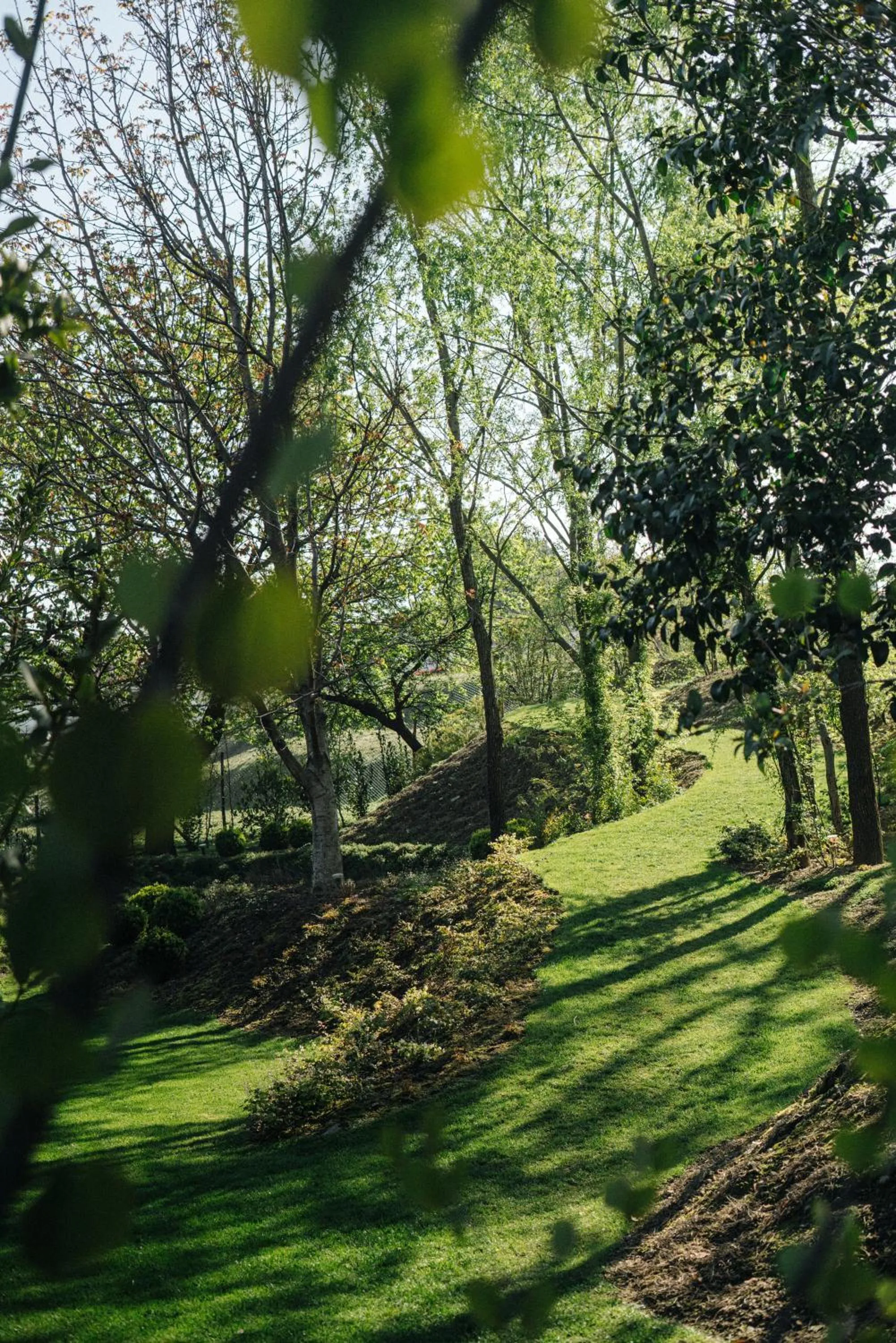 Area and facilities in C-Hotel & Spa