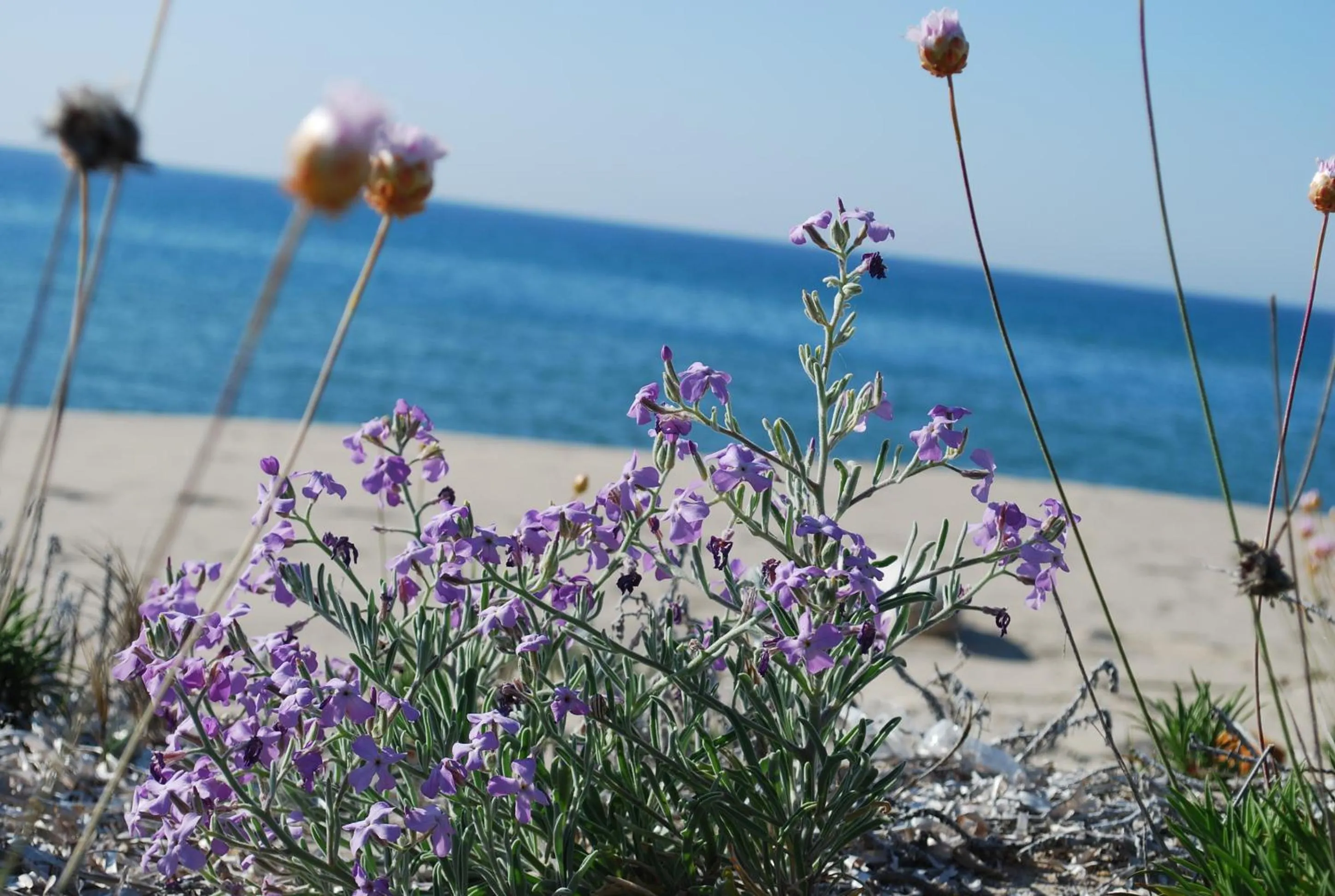 Day in Abbaidda Hotel