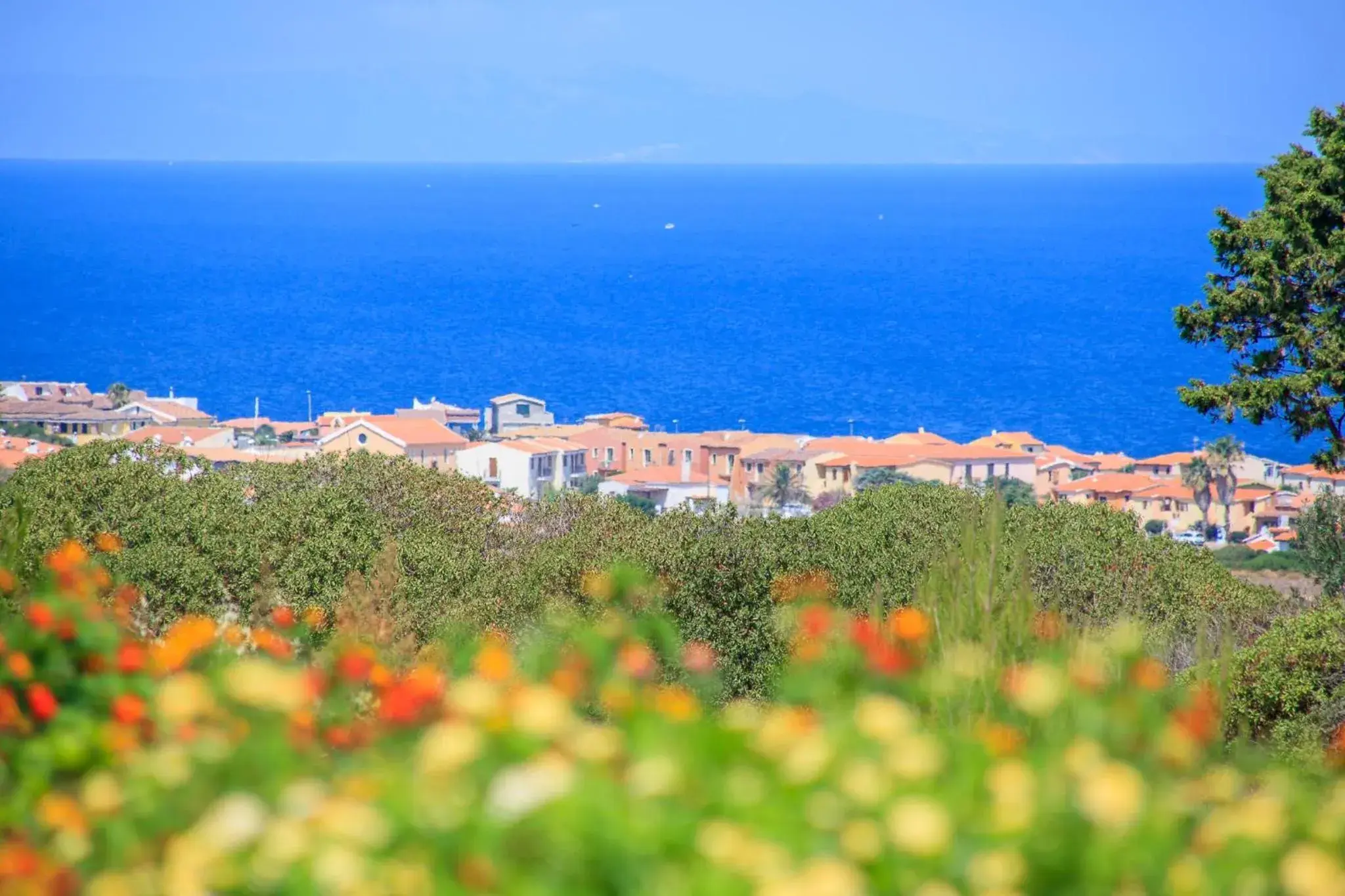 Sea view in Abbaidda Hotel Sea view in Abbaidda Hotel