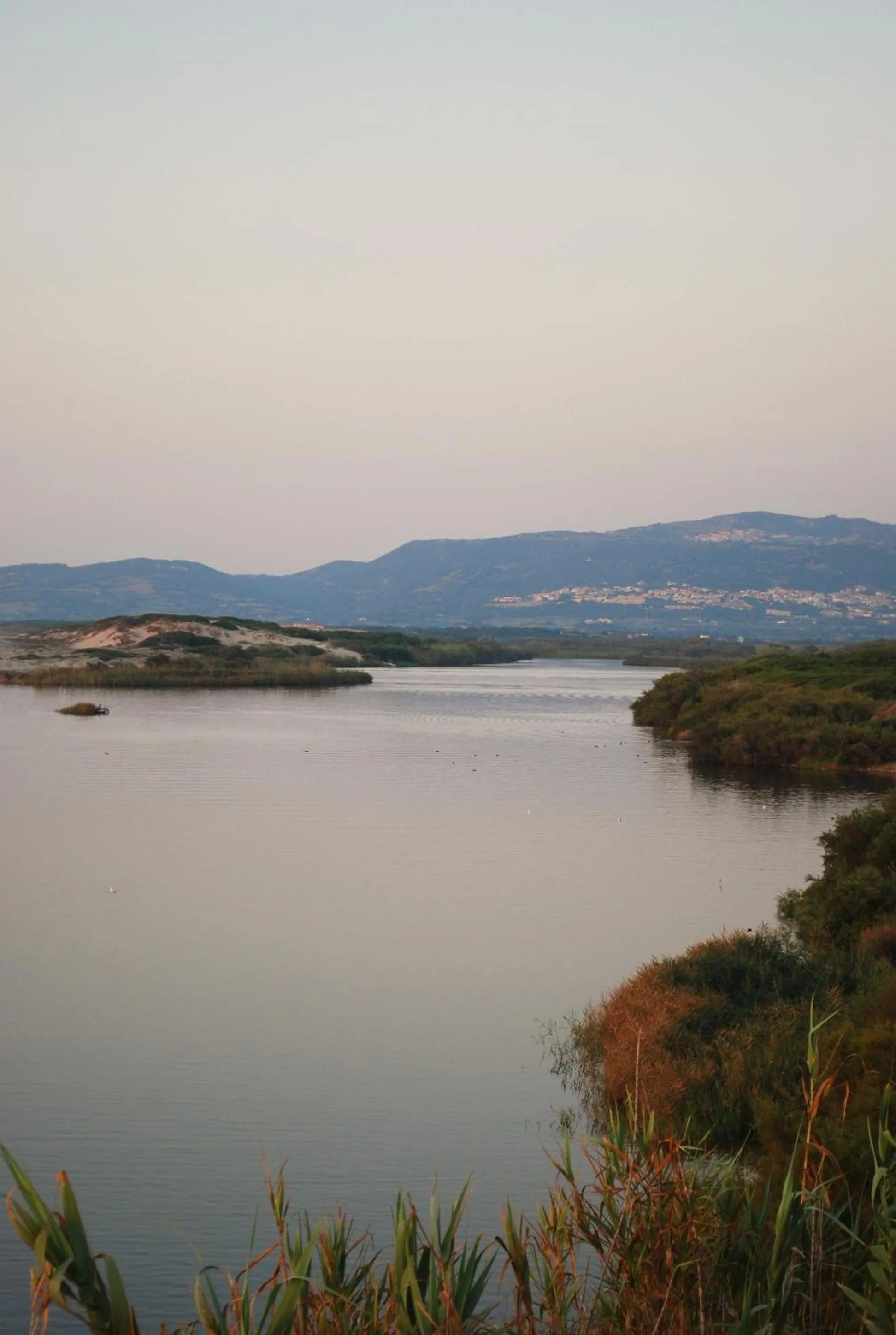 Day in Abbaidda Hotel