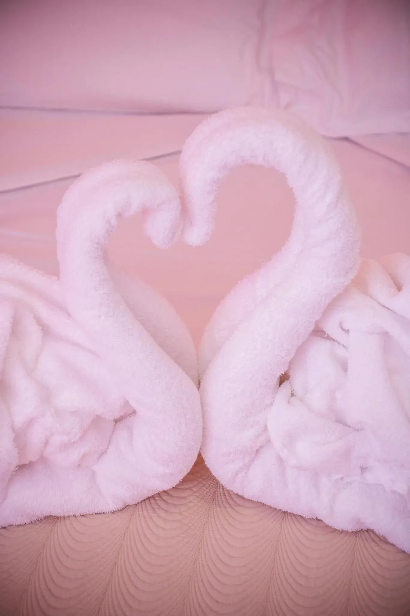 Bed in Abbaidda Hotel Bed in Abbaidda Hotel