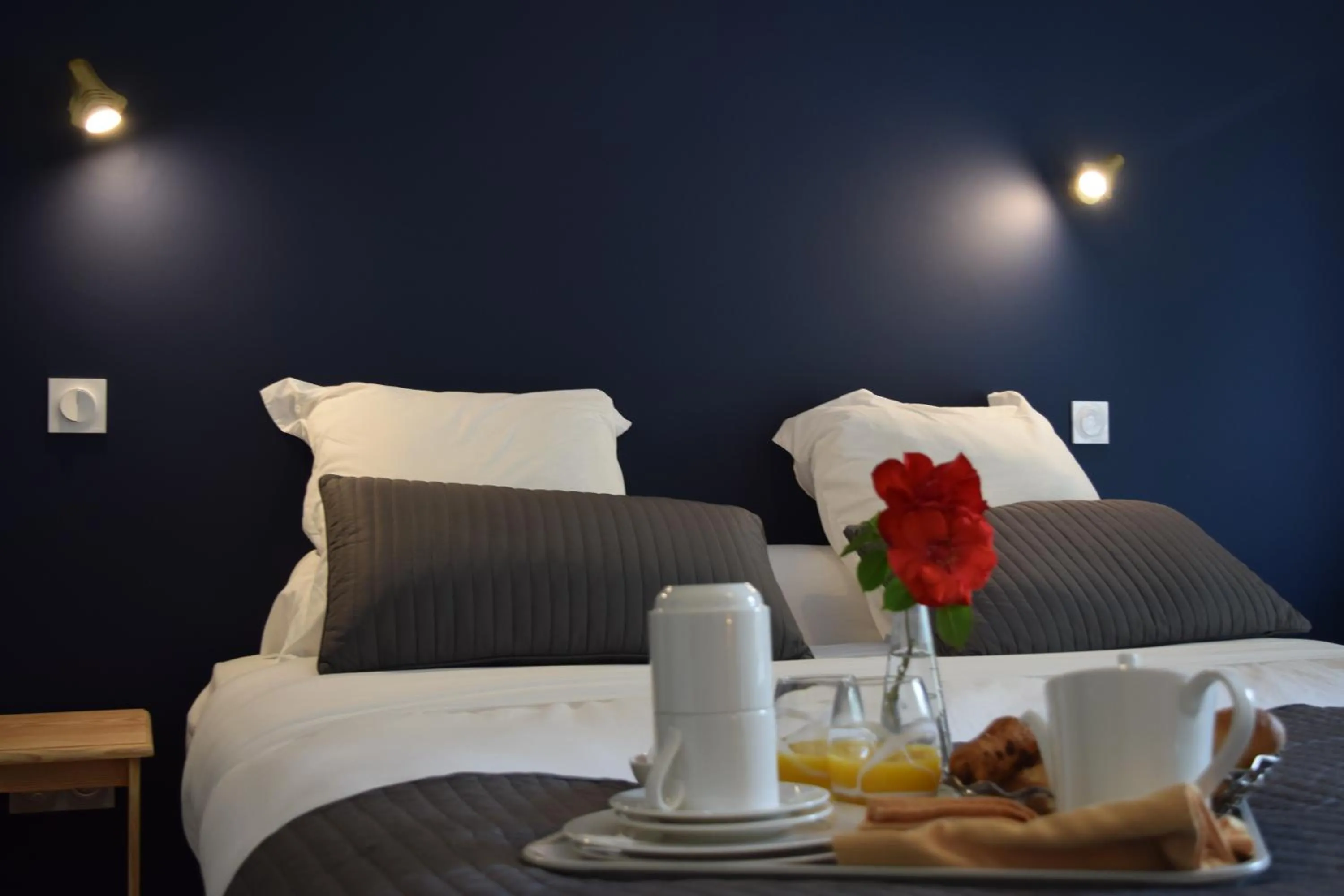 Double Room in Hôtel et appartements les platanes