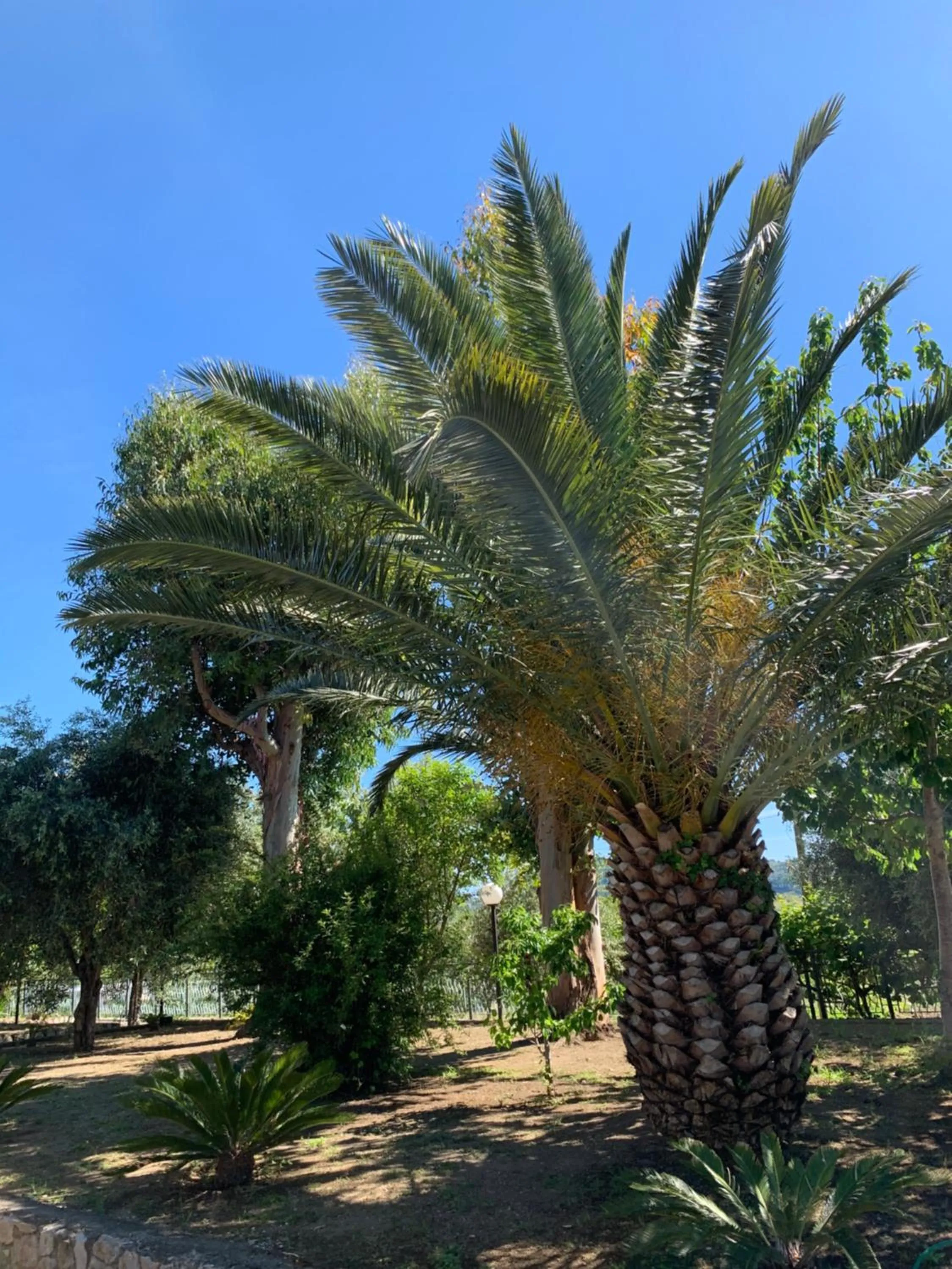 Garden in La Casa Del Sole