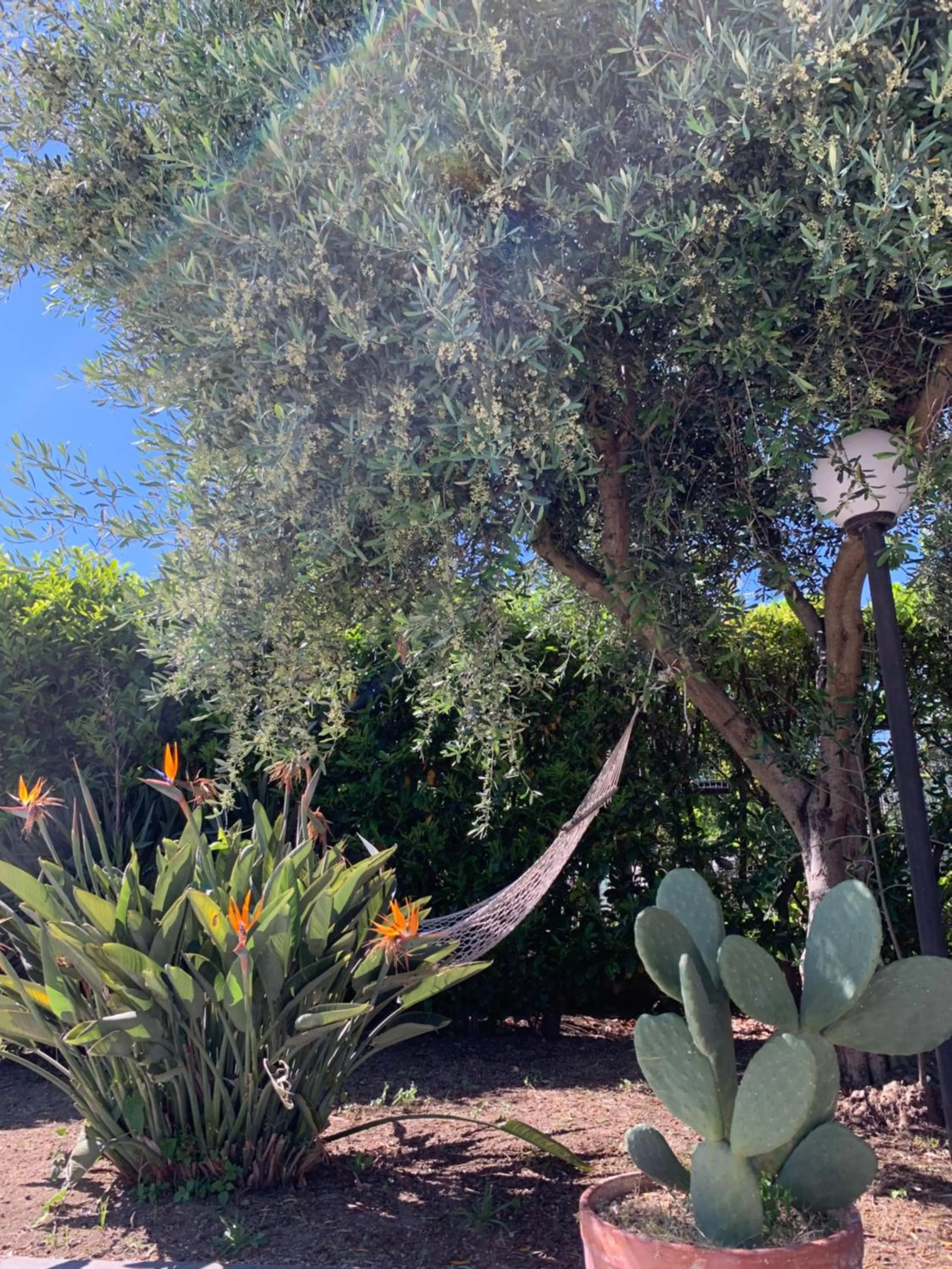 Garden in La Casa Del Sole