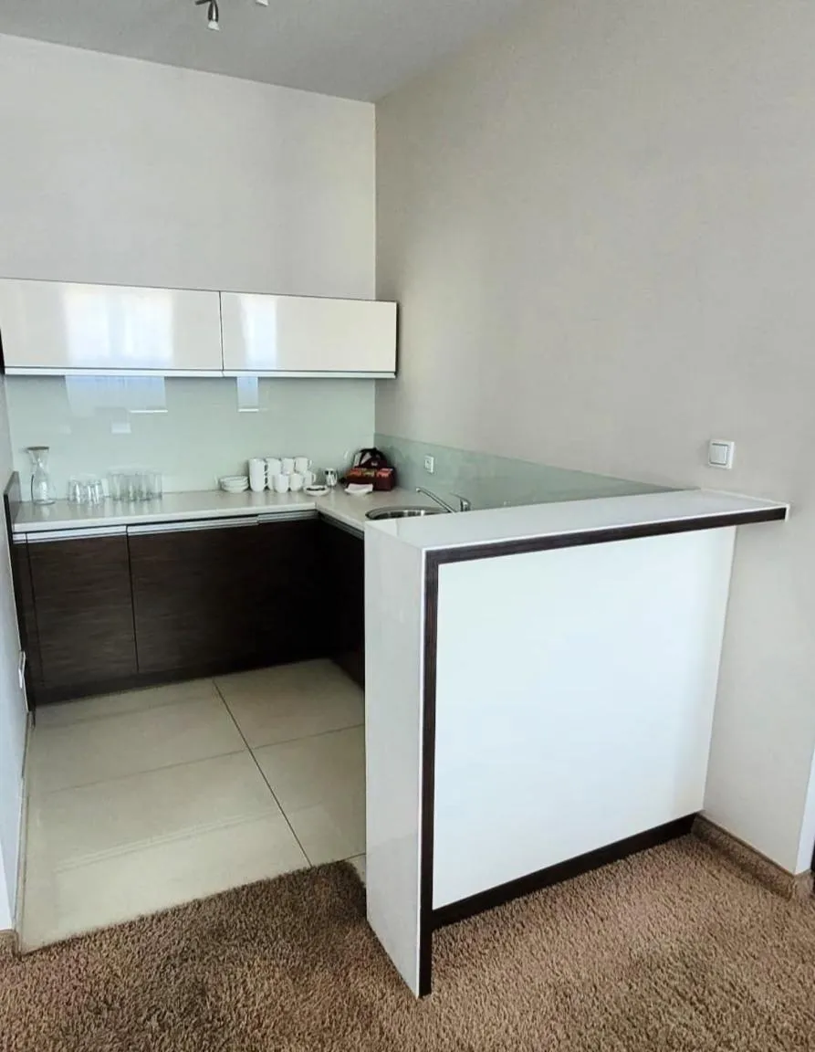 Kitchen or kitchenette in Iness Hotel