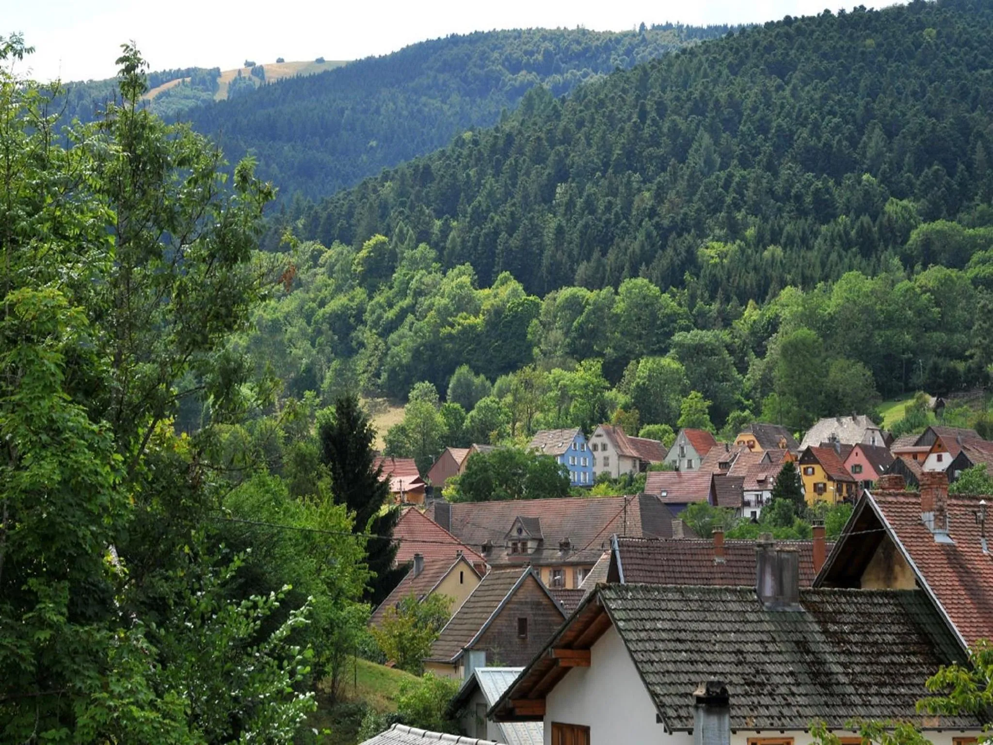 Mountain view in Maison D'hôtes Du Landersbach