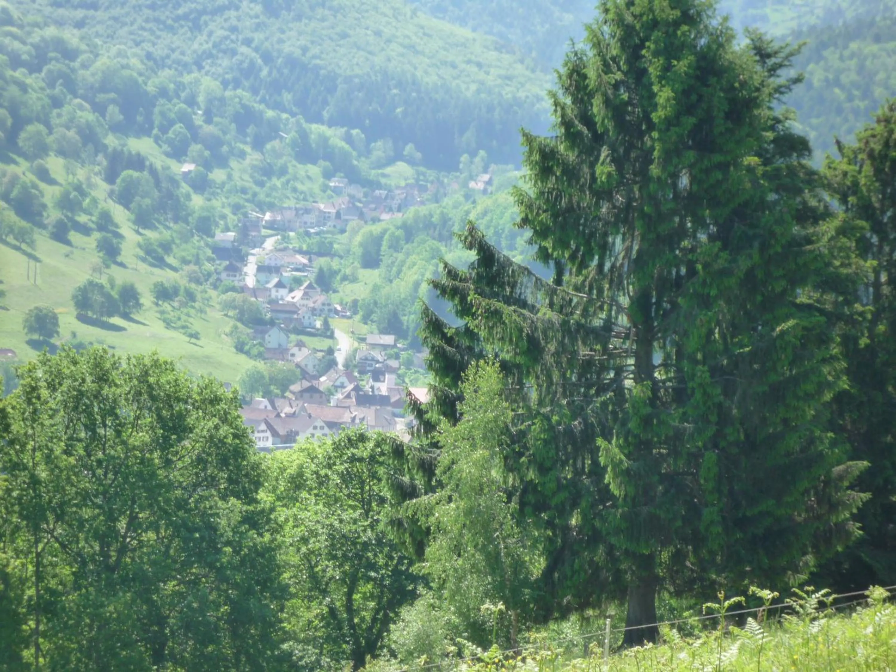 Mountain view in Maison D'hôtes Du Landersbach