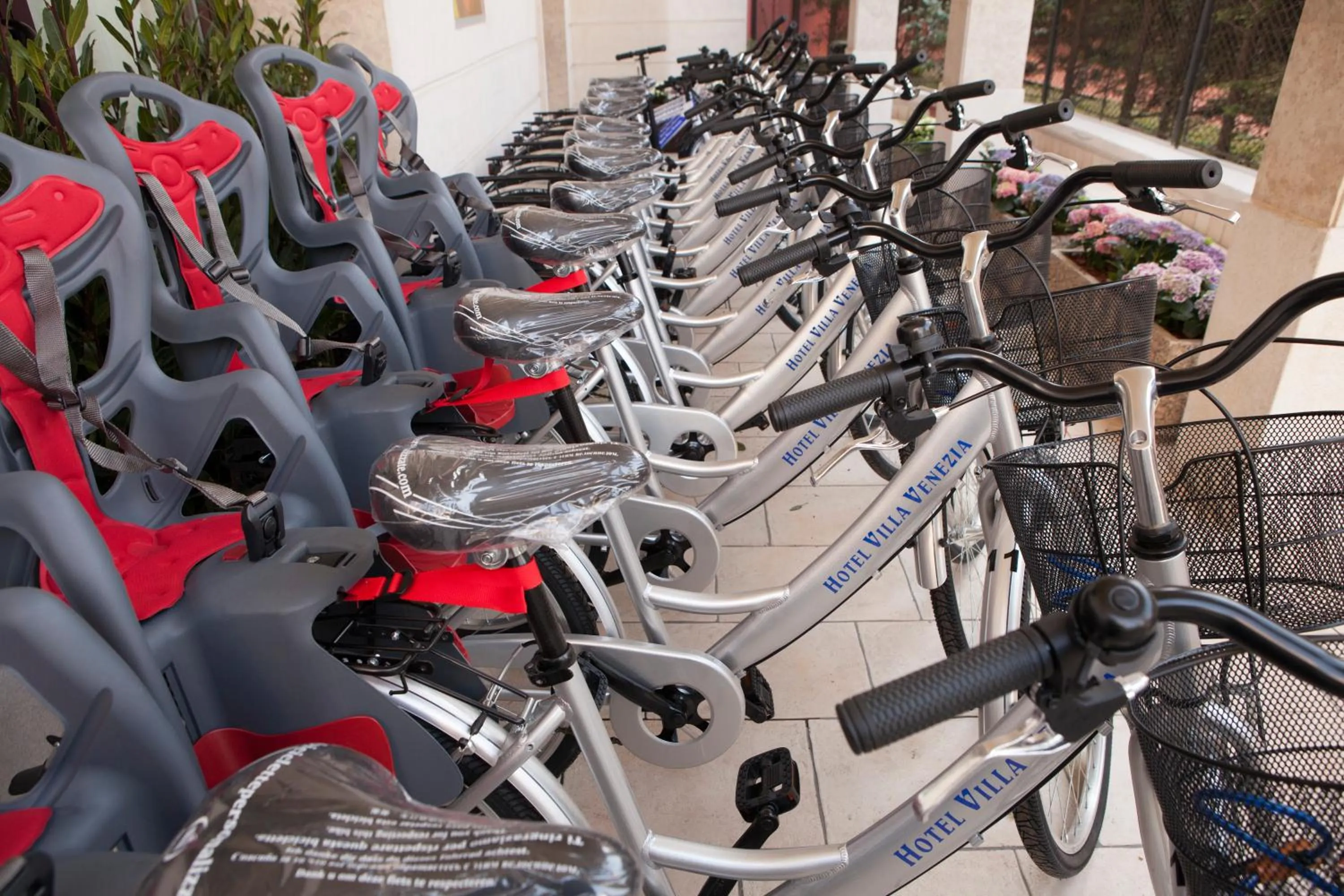 Activities in Hotel Villa Venezia