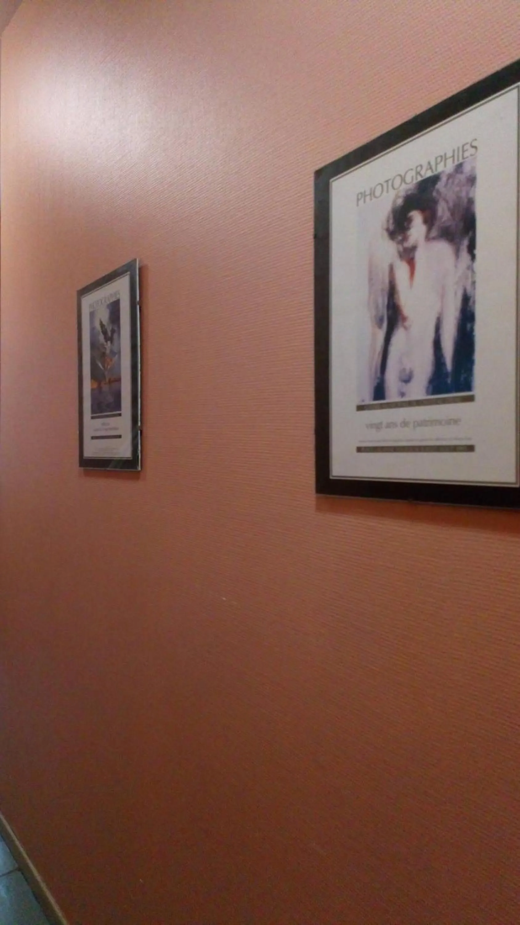 Decorative detail in Résidence le Pastel François Verdier