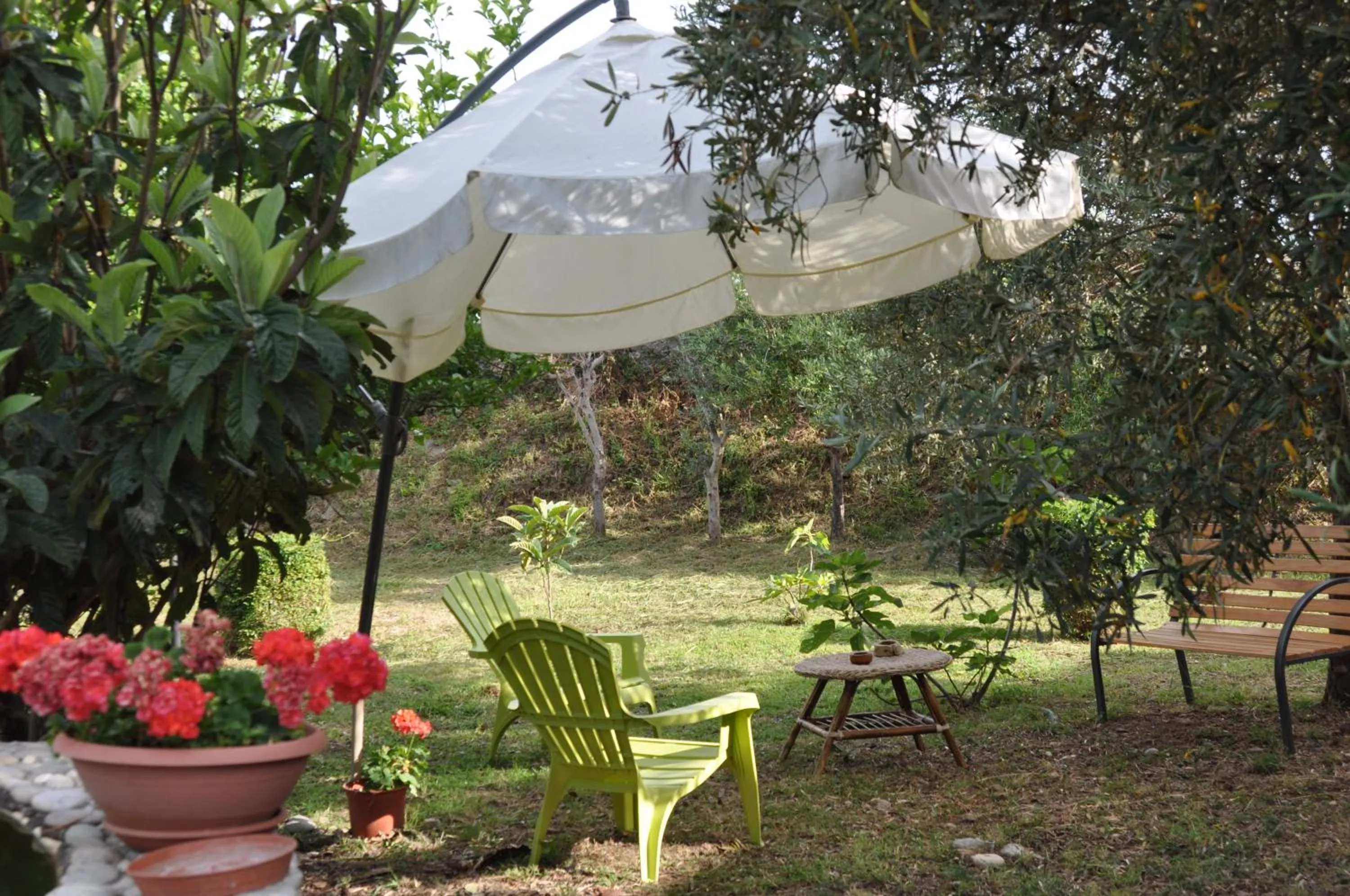 Garden in Villa Lidia