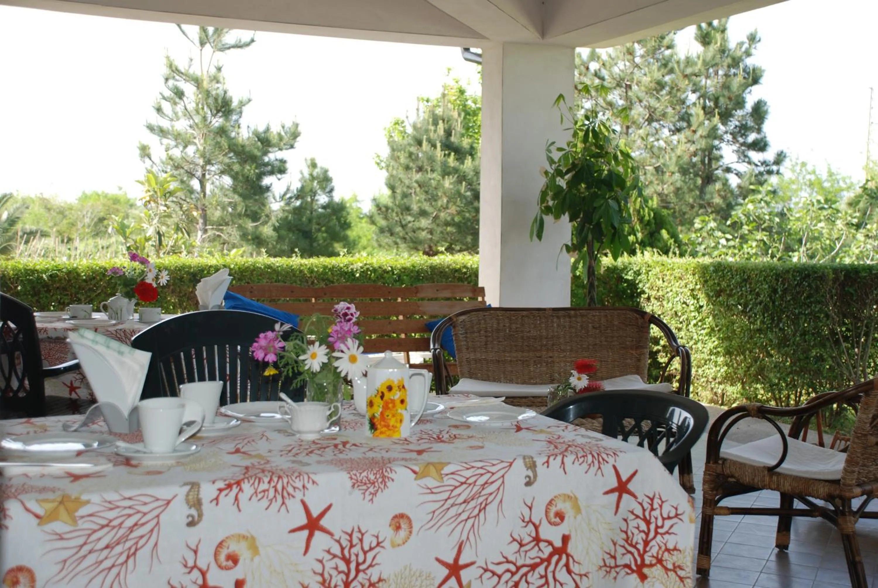 Area and facilities in Villa Lidia