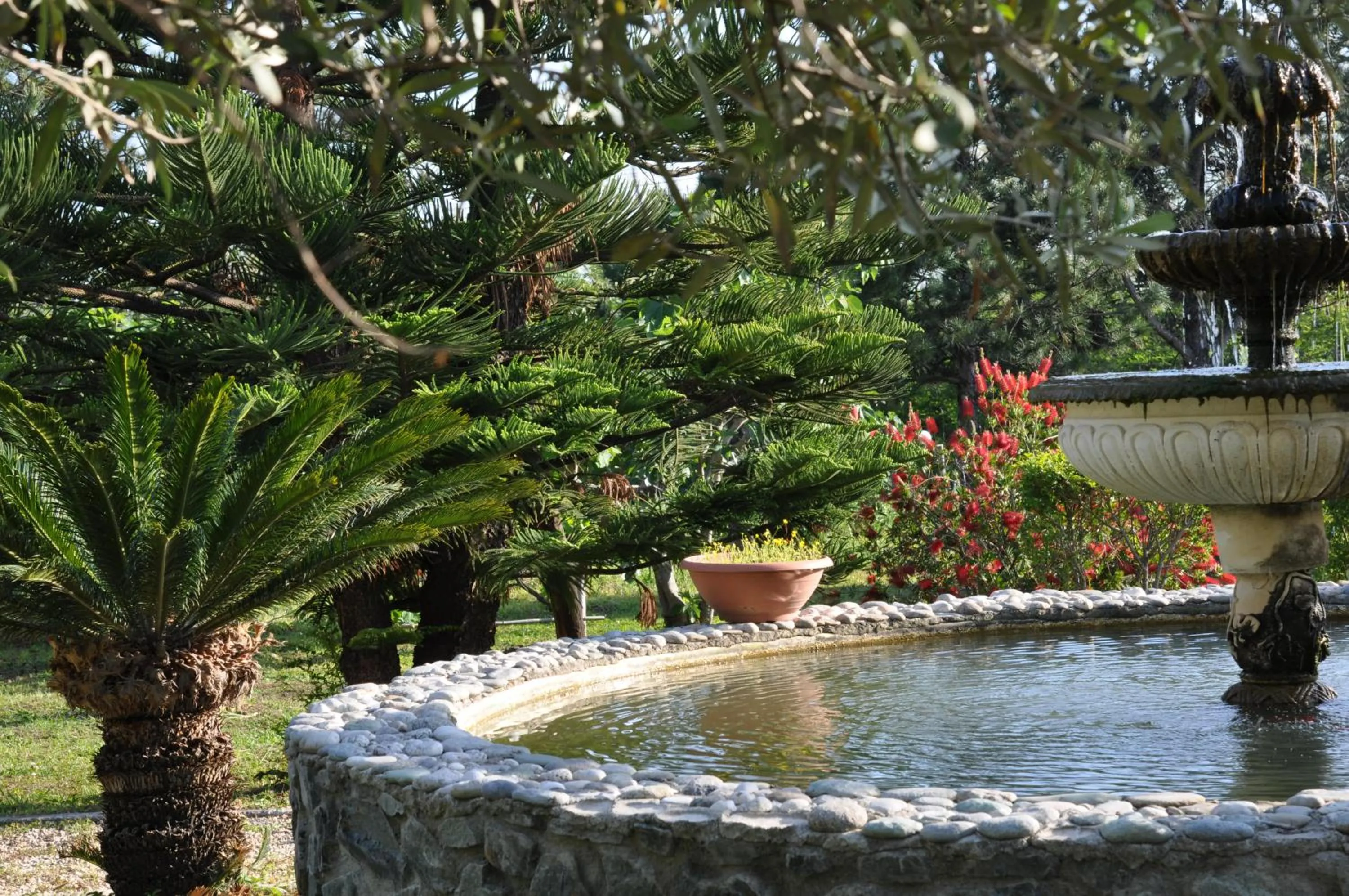 Garden view in Villa Lidia