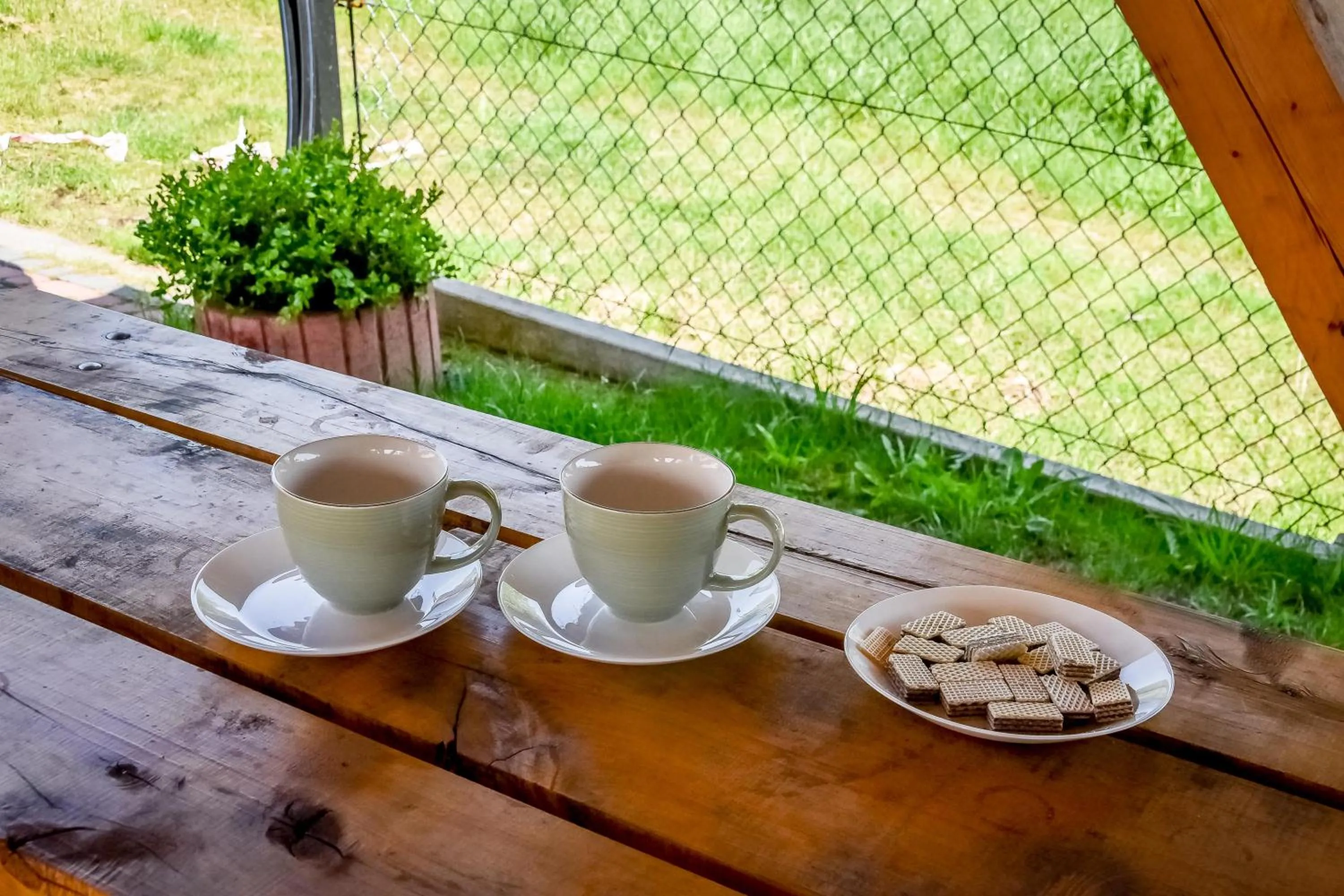 Day in Willa u Perełki