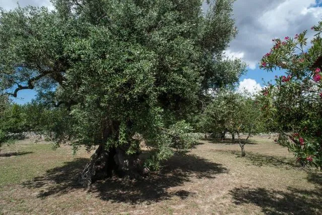 Property building in Il Giardino casa vacanze