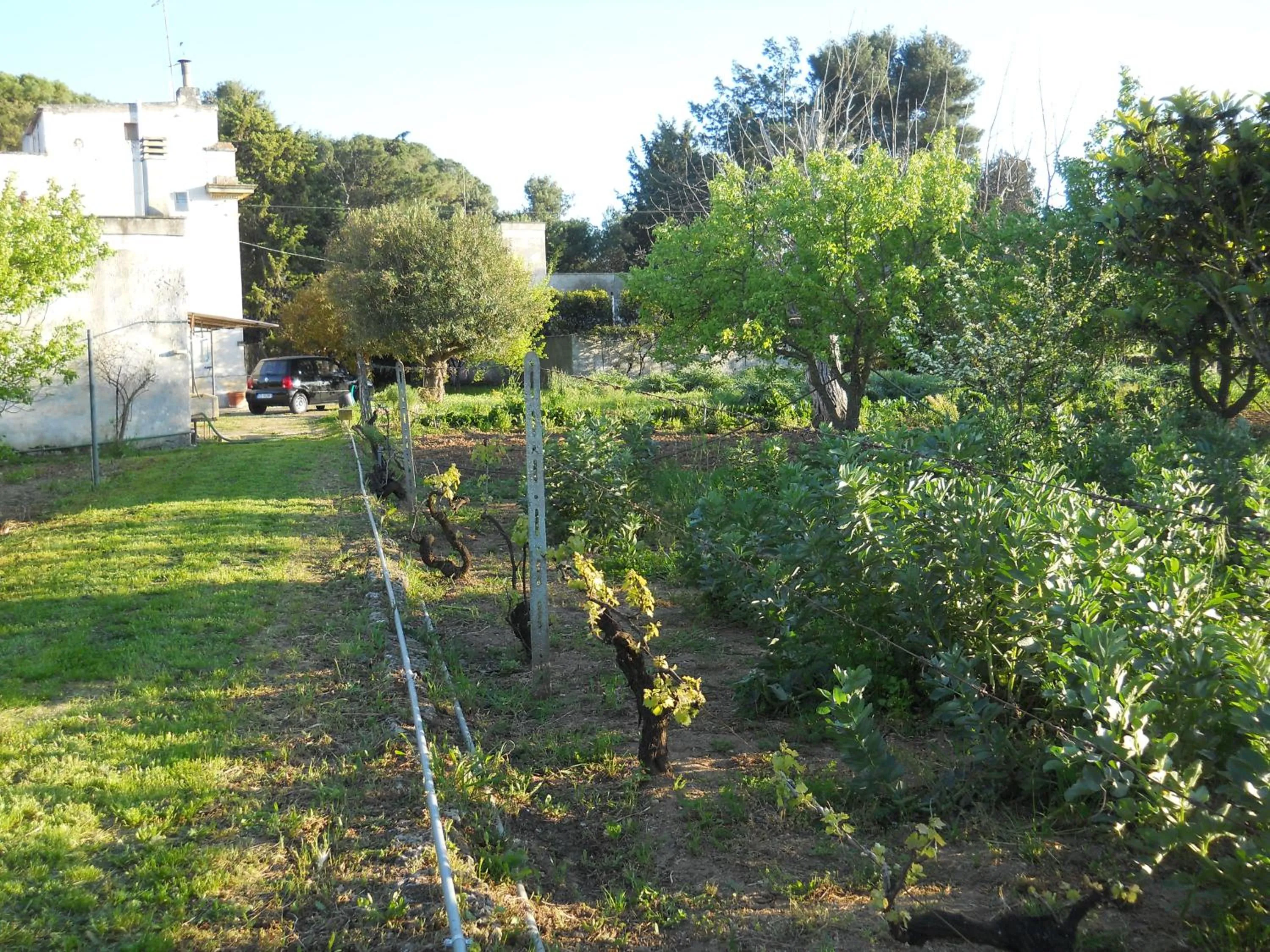 Garden in Il Giardino casa vacanze