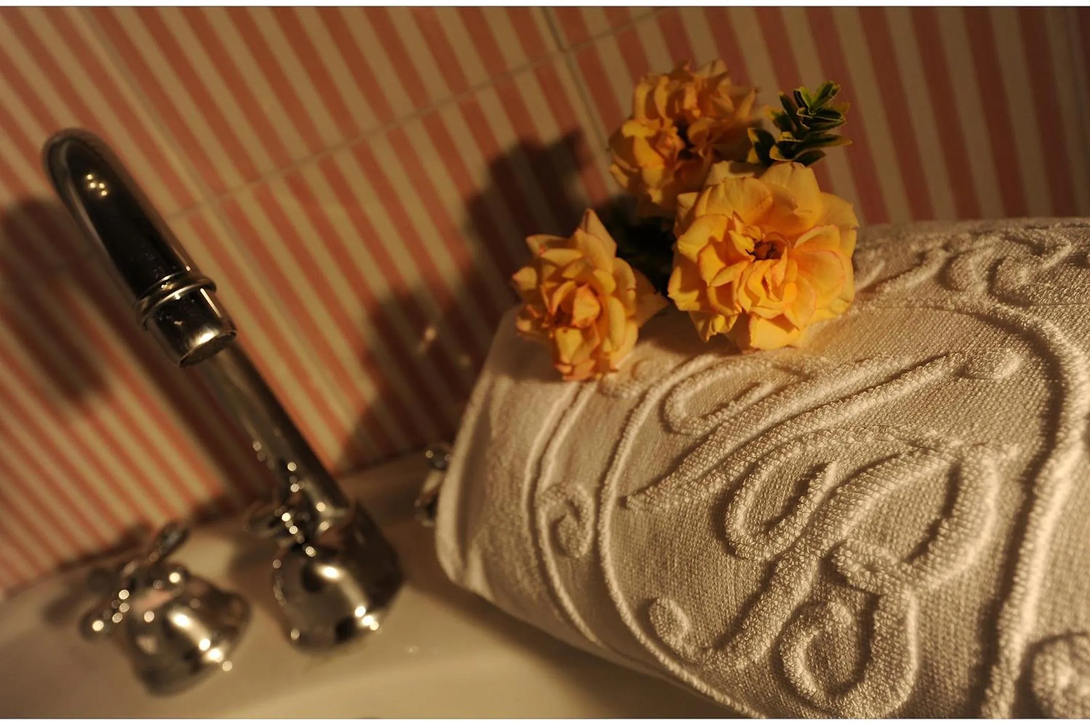 Hotel Villa Beccaris