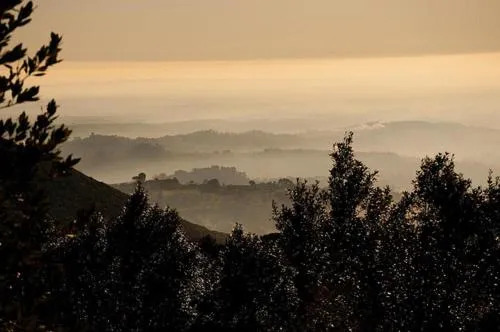 Area and facilities in Hotel Villa Beccaris