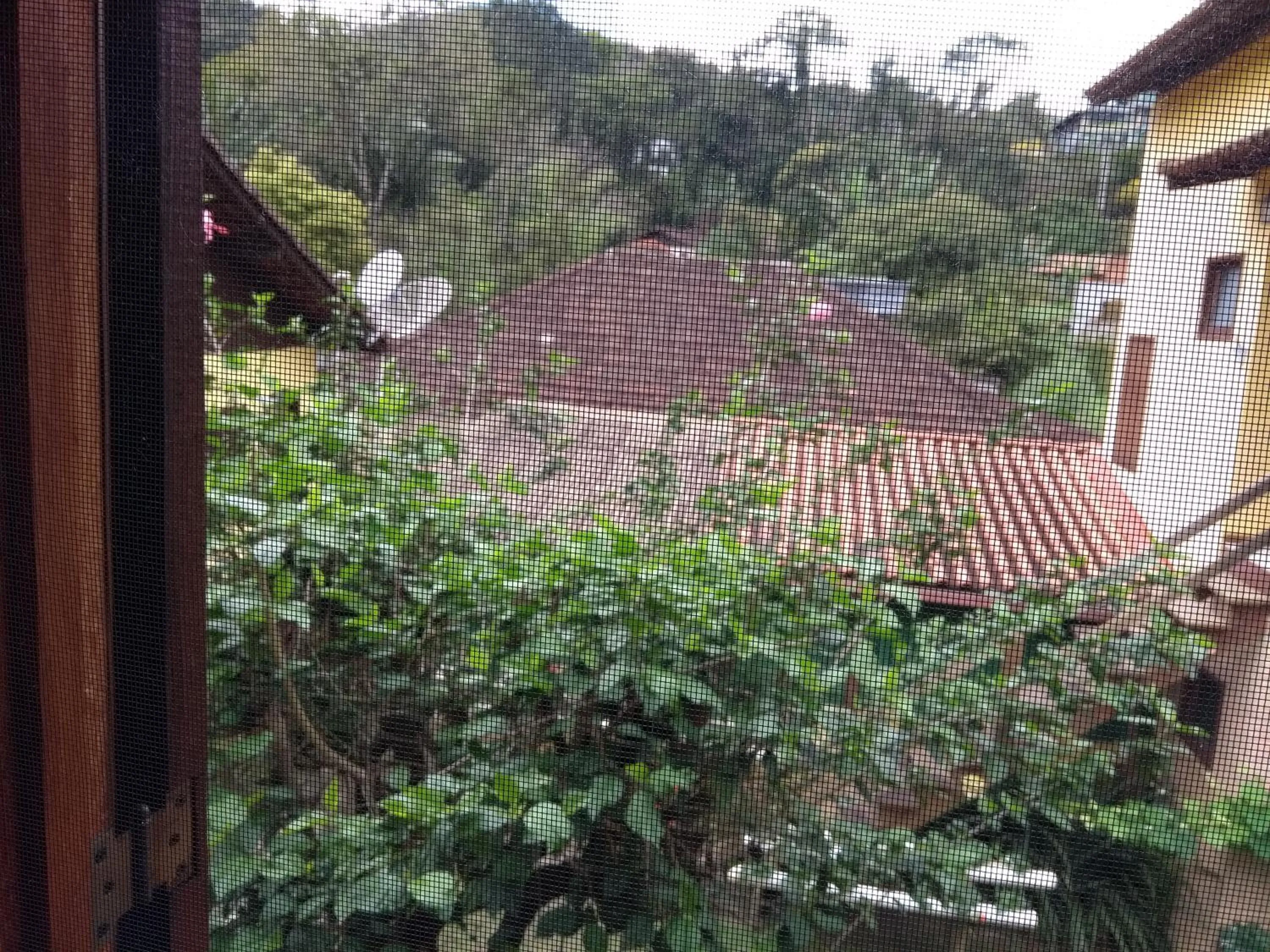 Pousada Canteiros de São Pedro da Serra-Nova Friburgo