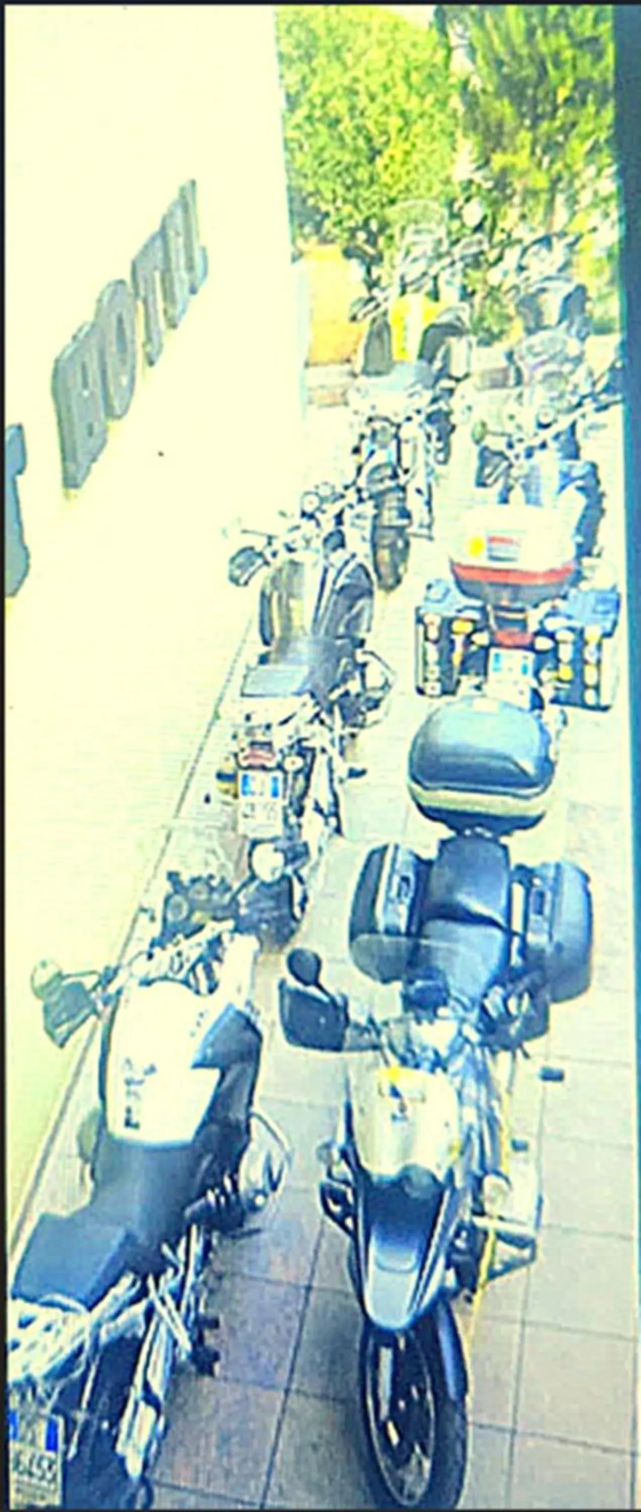 Garden in Orient Mintur Hotel