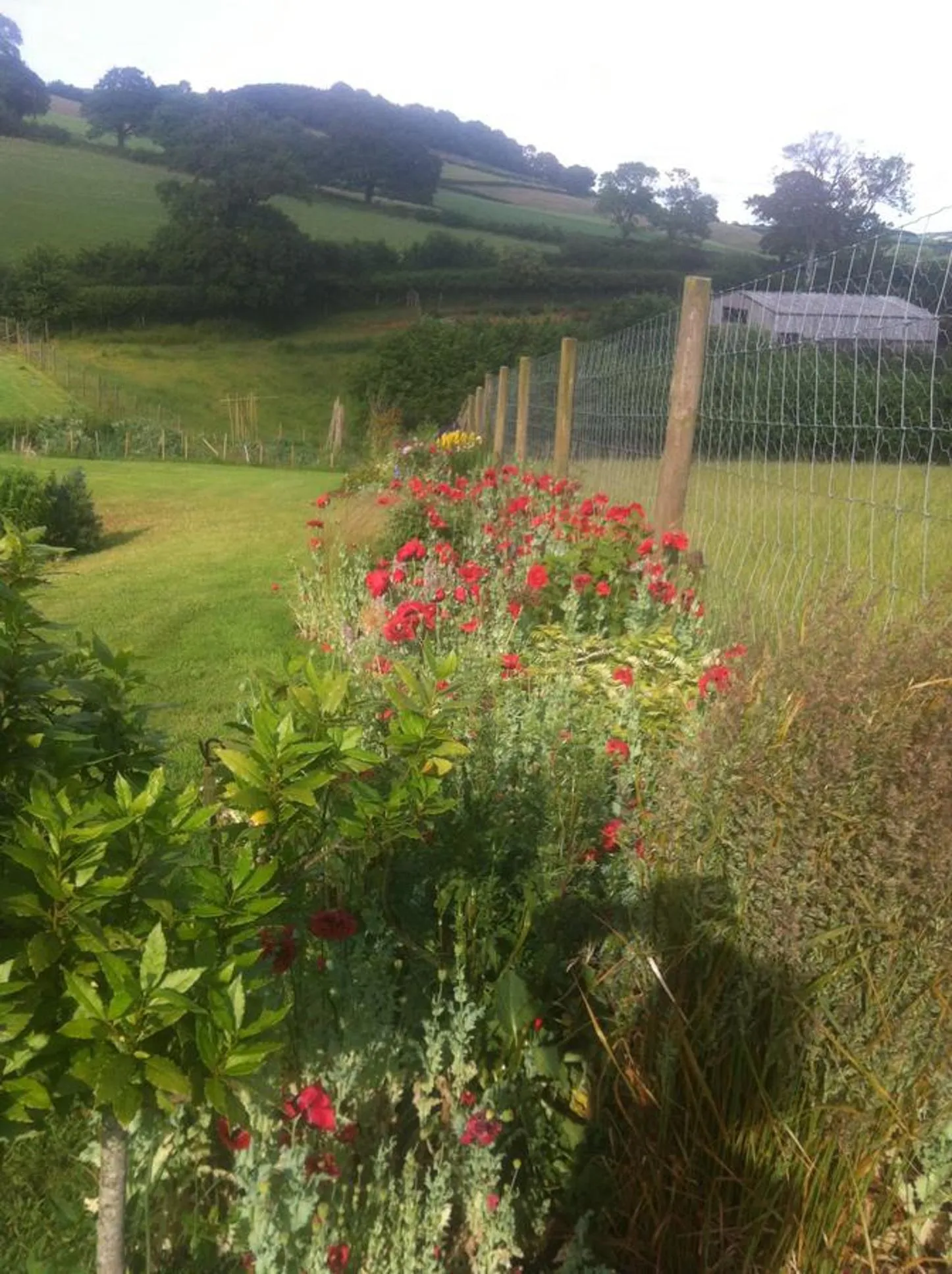 Garden view in East Dunster Deer Farm B&B