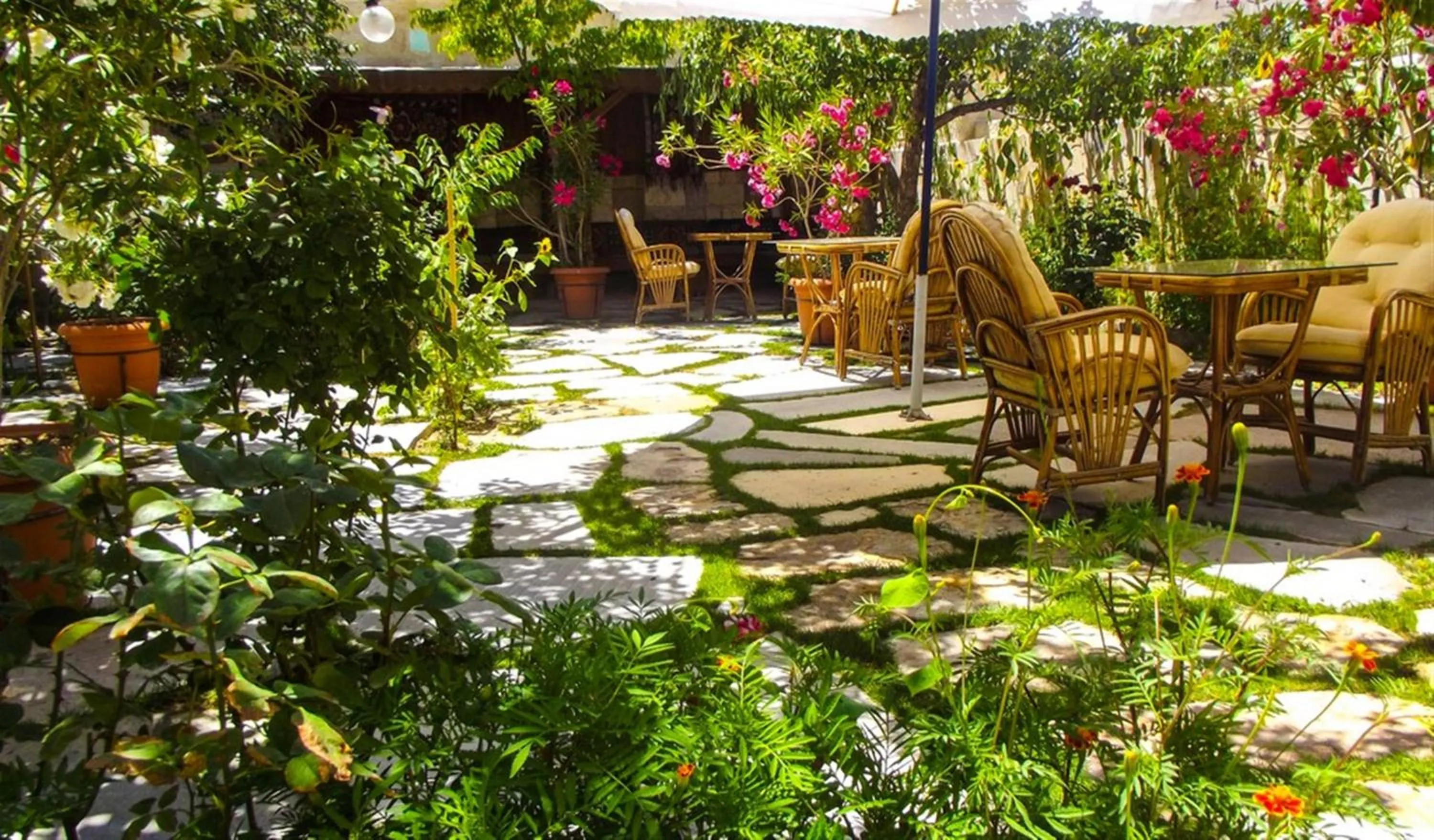 Garden in Elysee Cave House