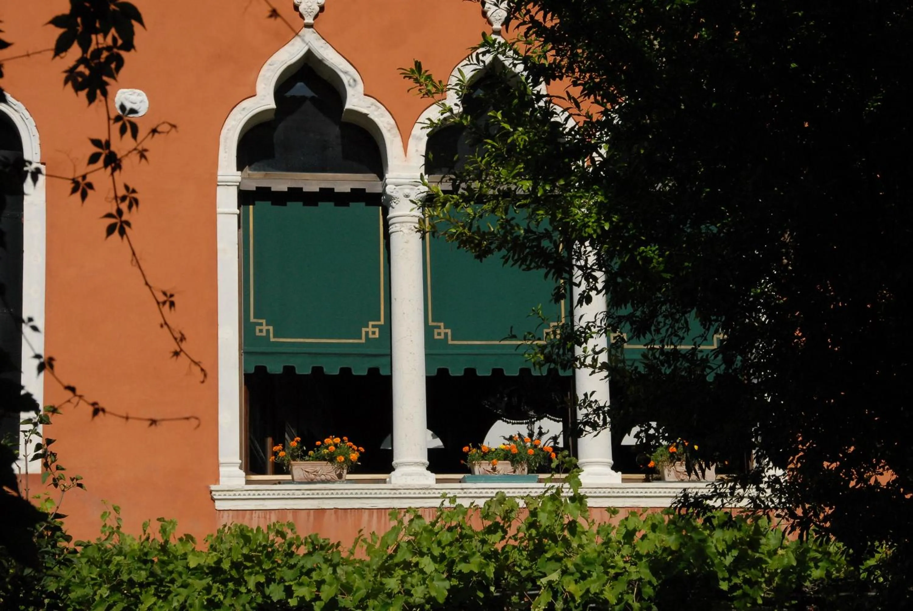 Garden in Pensione Accademia - Villa Maravege