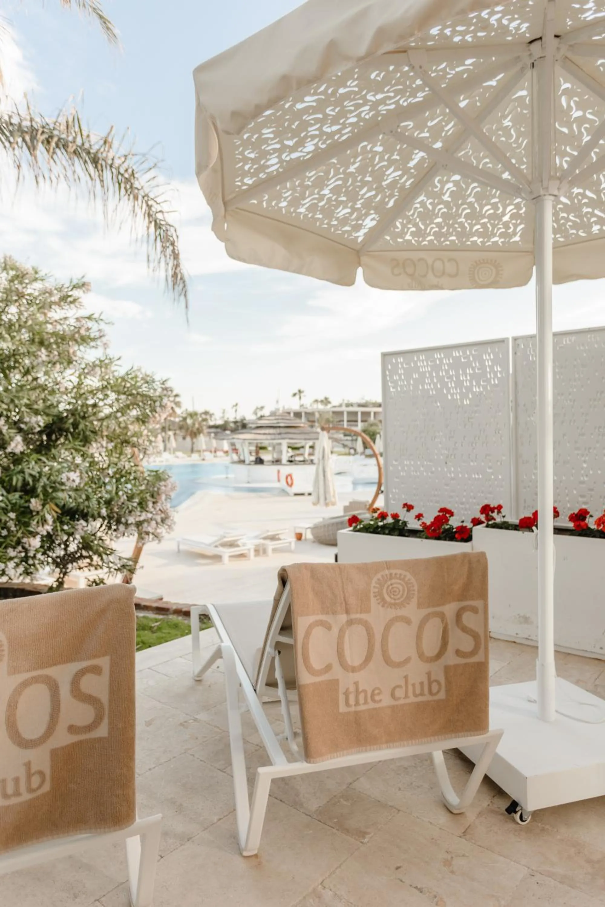 Balcony/Terrace in Cocos The Club Solto