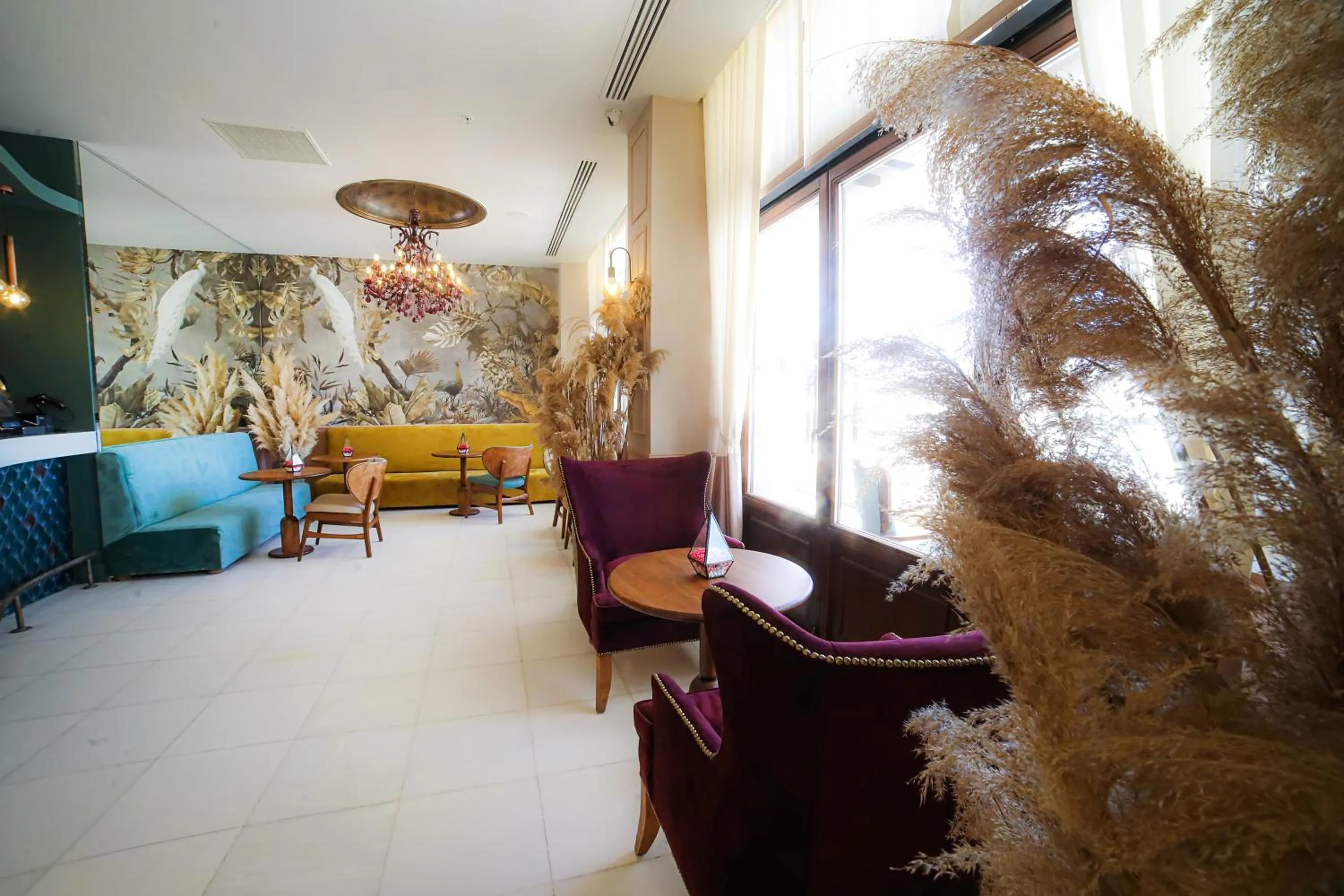 Lounge or bar in Cocos The Club Solto