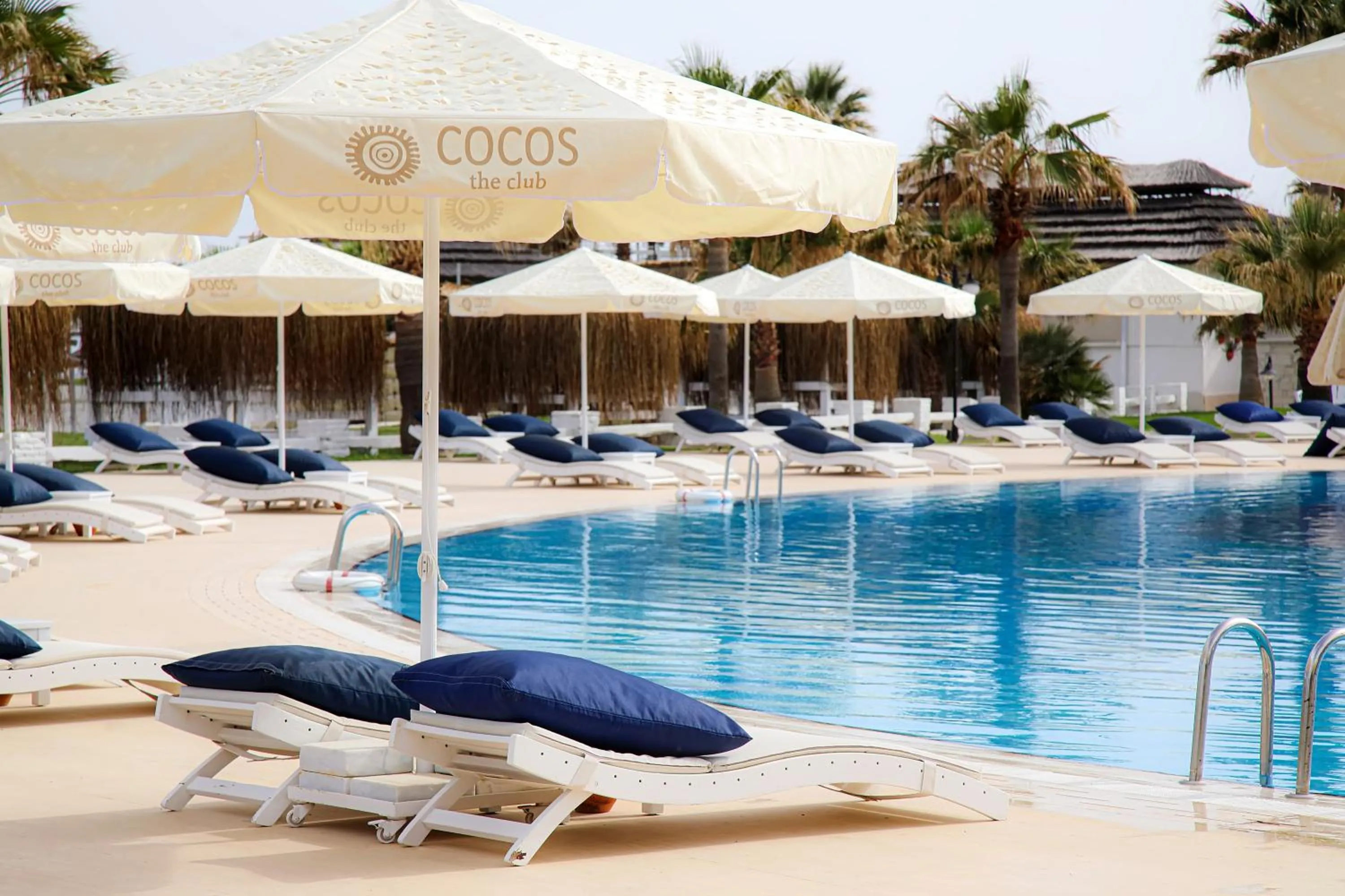 Swimming pool in Cocos The Club Solto