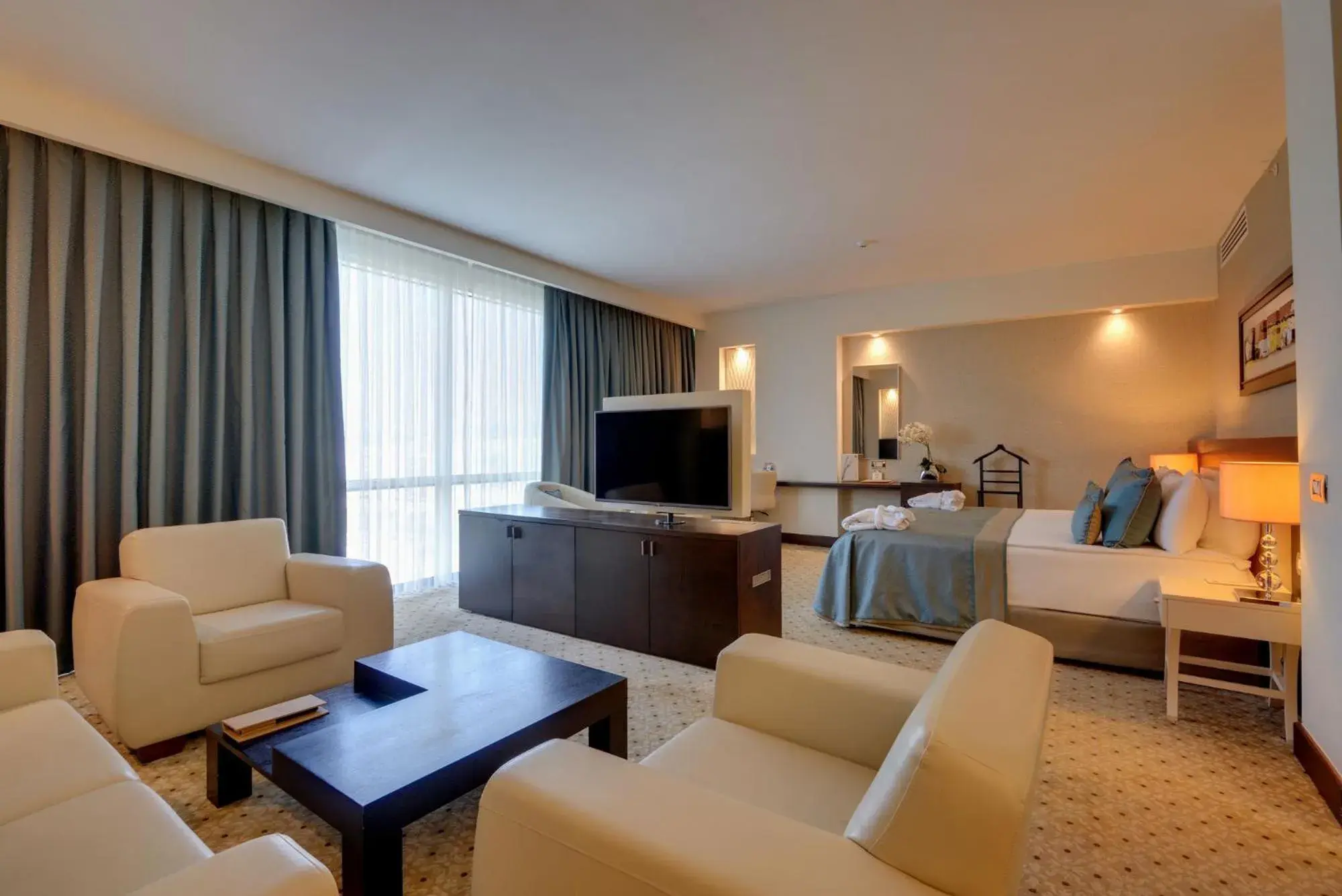 Living room, Bed in Baia Bursa Hotel Living room, Bed in Baia Bursa Hotel