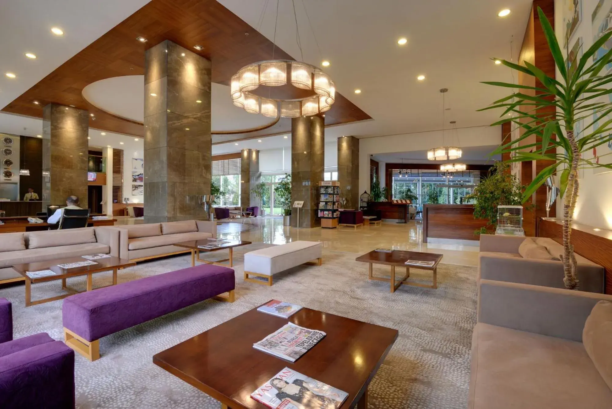 Lobby or reception in Baia Bursa Hotel Lobby or reception in Baia Bursa Hotel