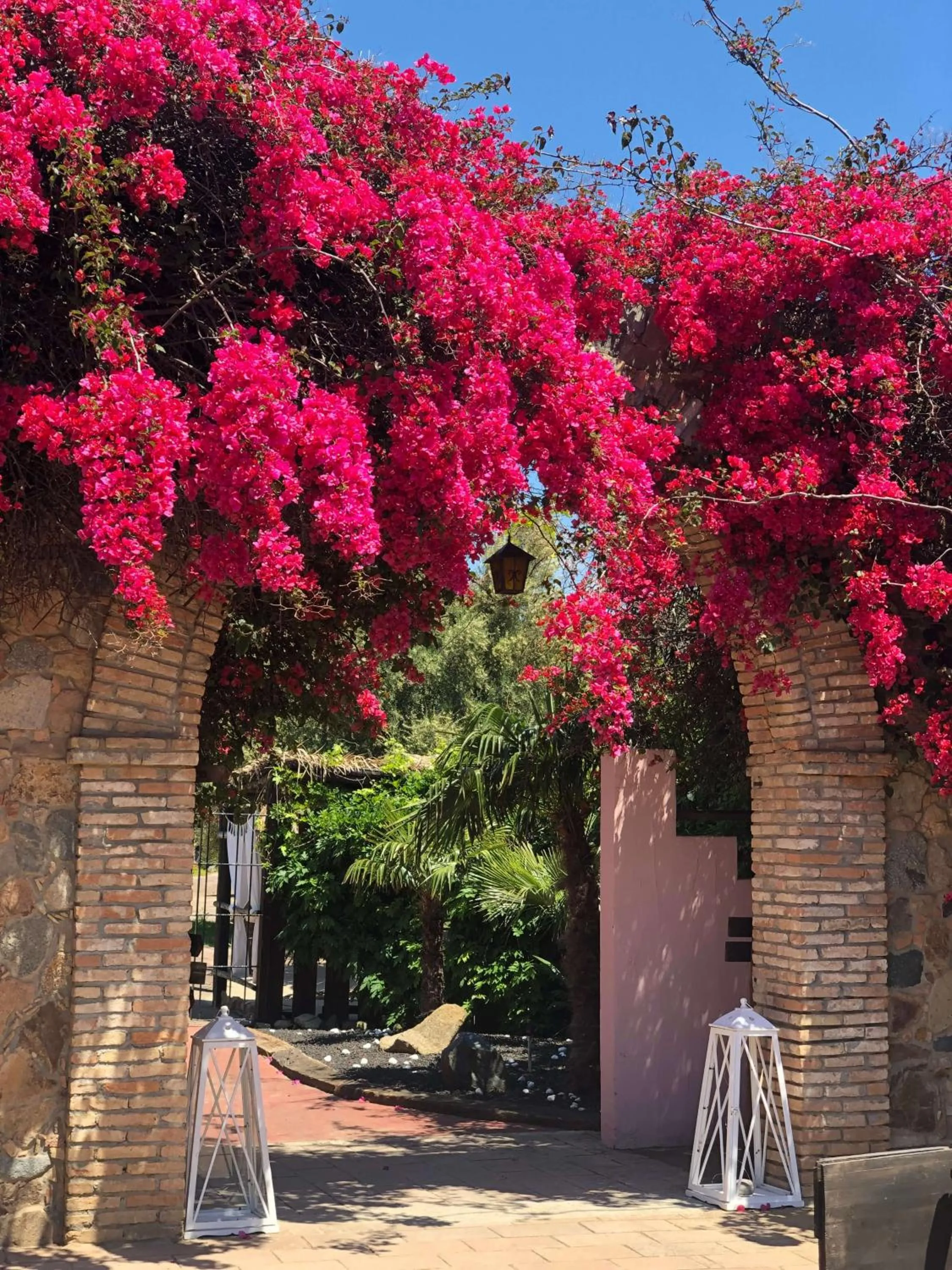 Garden in Il Monastero
