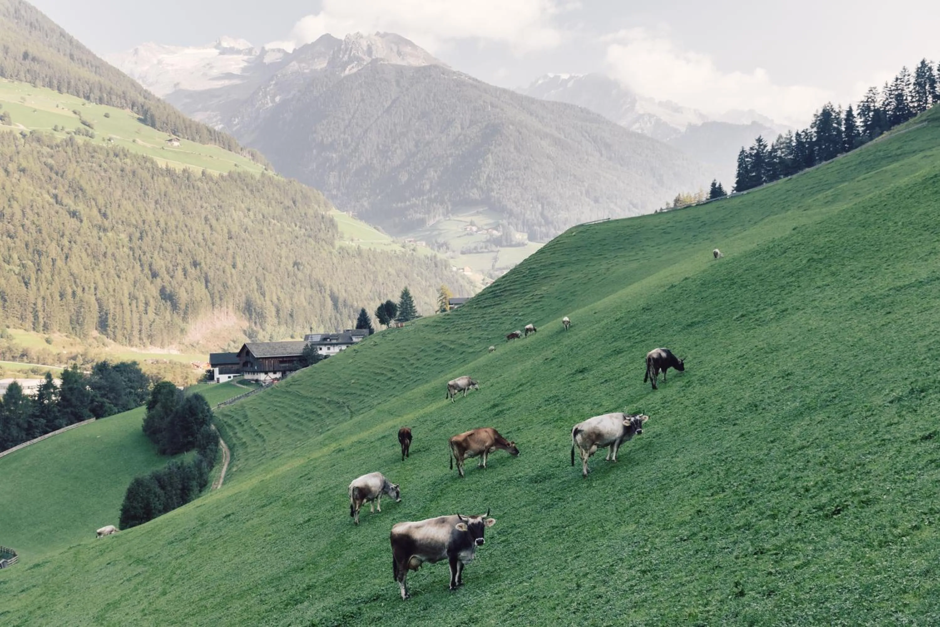 Natural landscape in Alpenpalace Luxury Hideaway & Spa Retreat