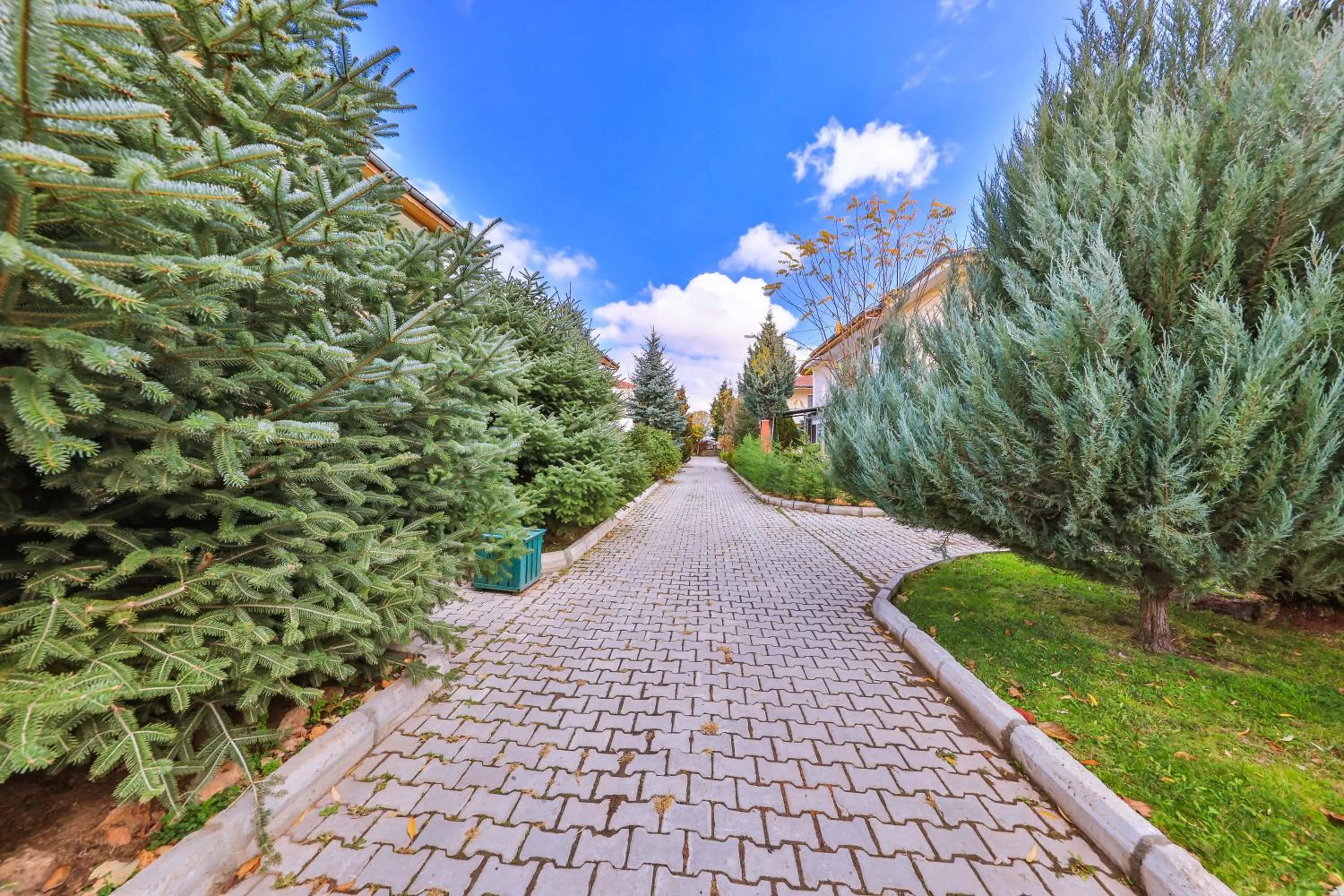 Afyon Dundar Thermal Villa