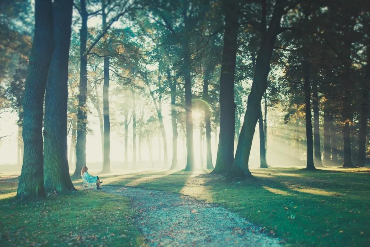 Day in Pałac Brunów - Wellness & SPA